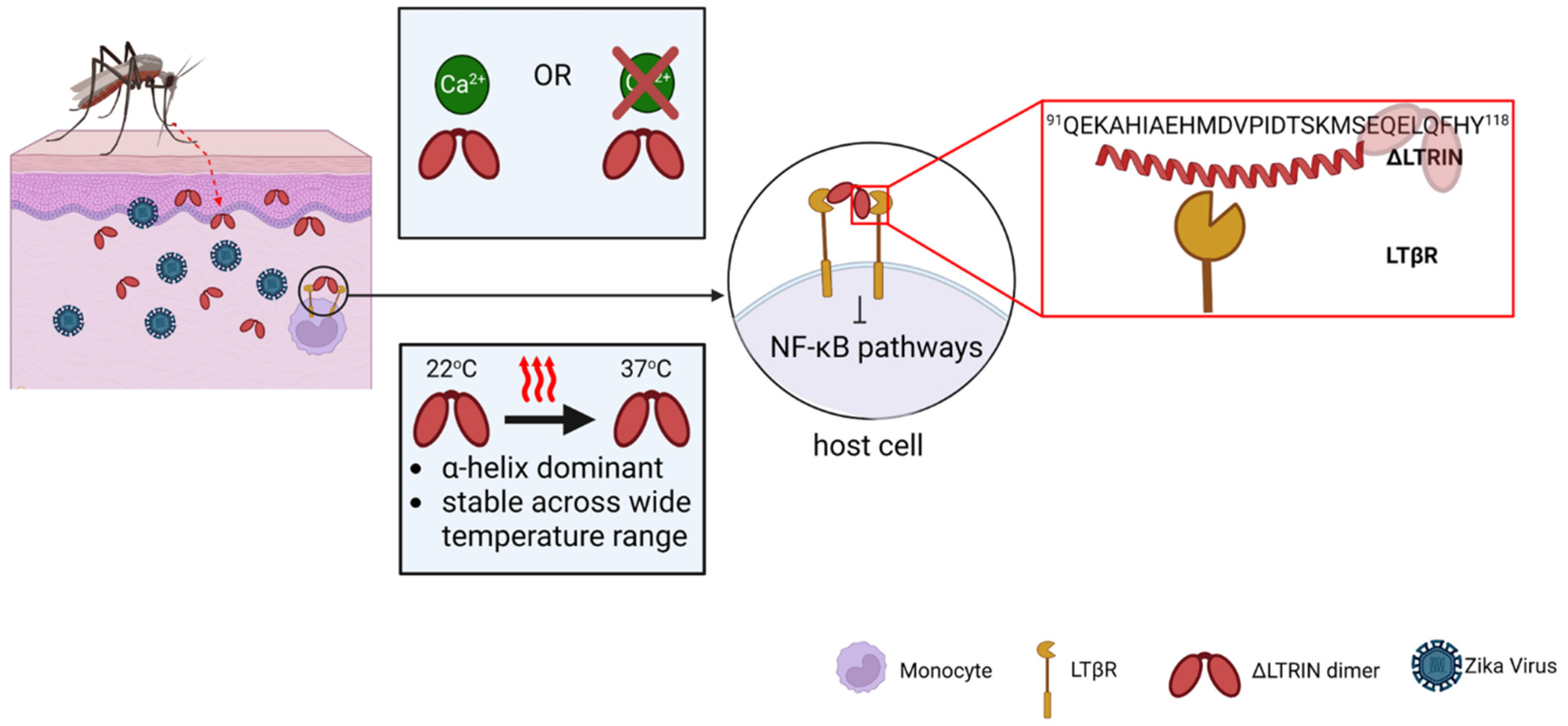 Biology 13 00042 g007 Biology 13 00042 g007