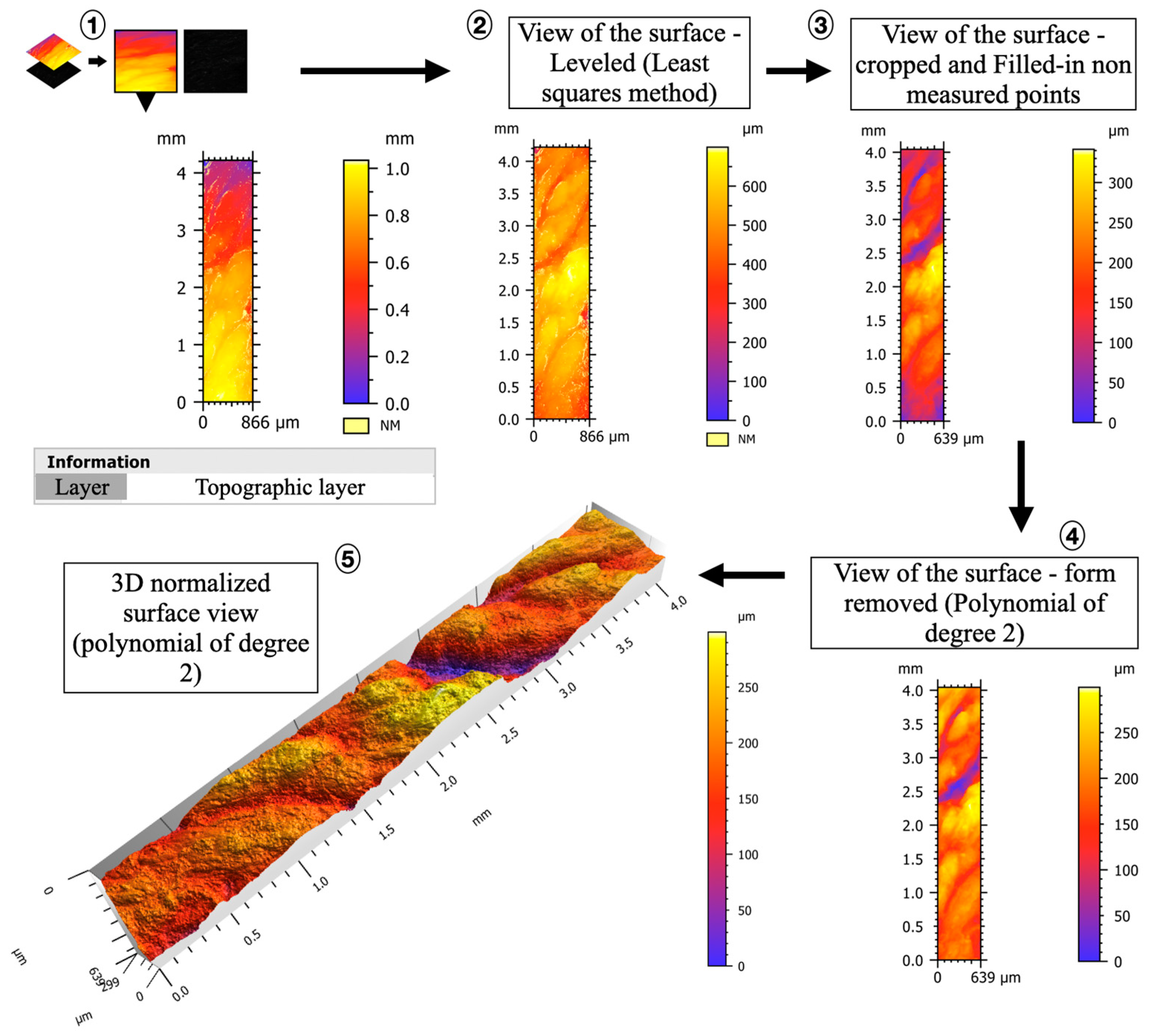 Biology 13 00043 g006