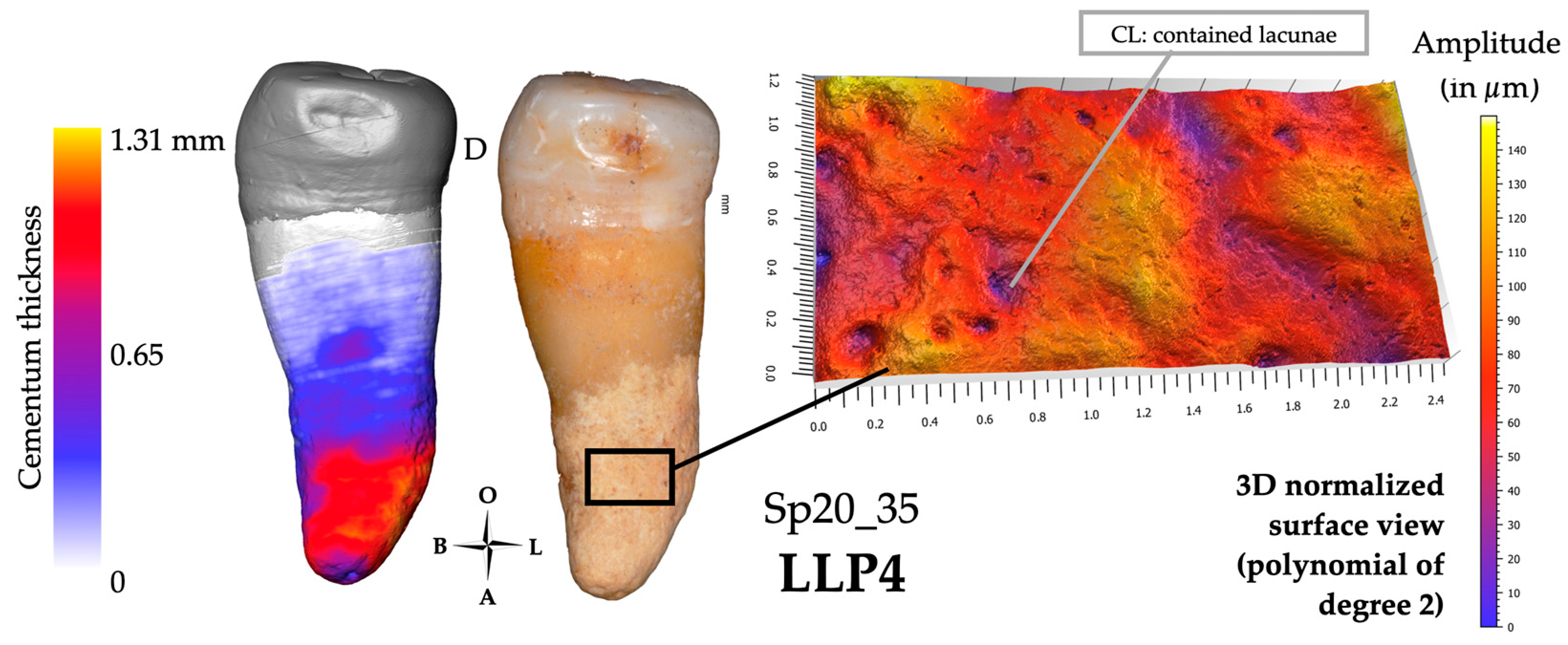 Biology 13 00043 g010