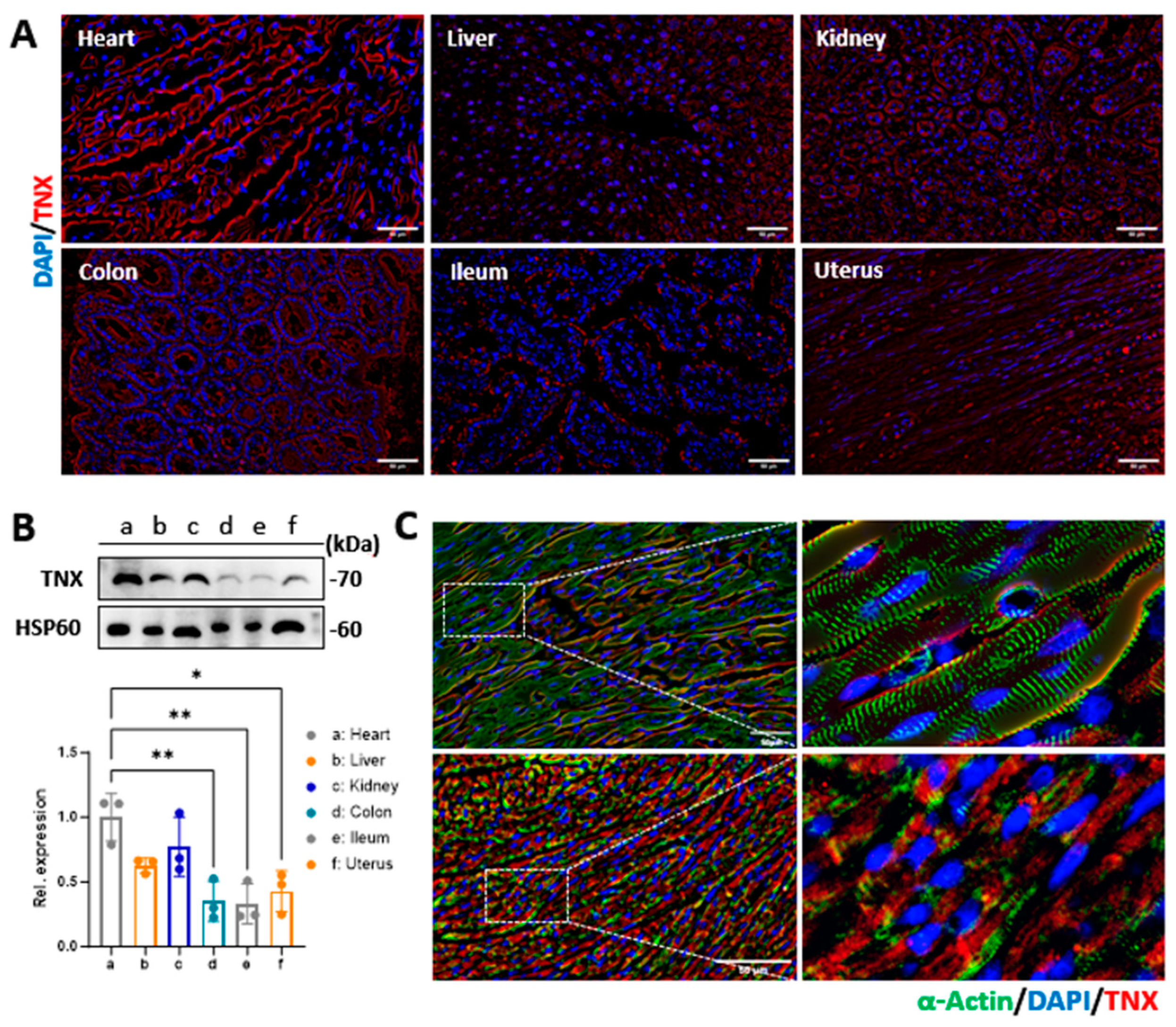 Biology 13 00047 g002