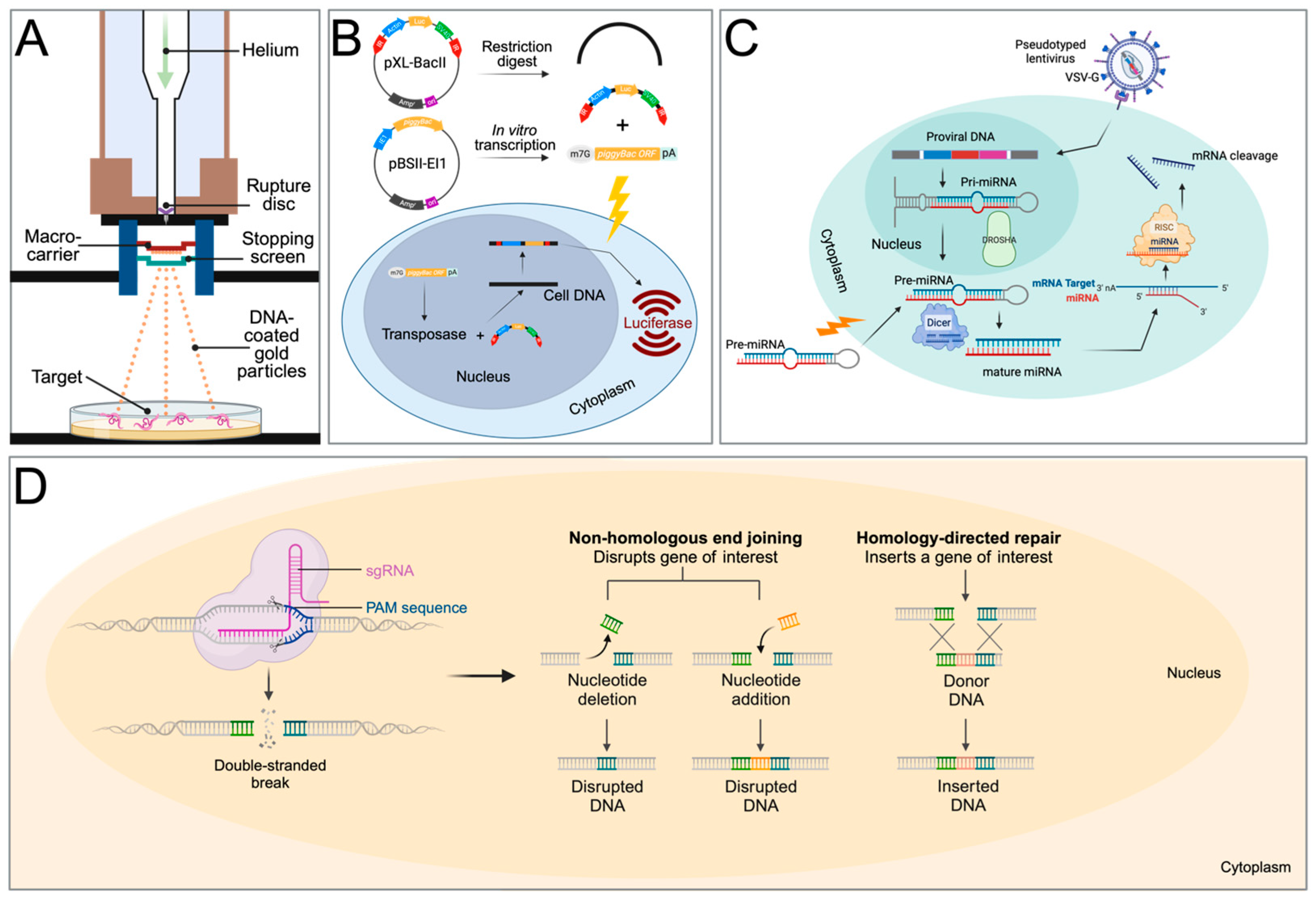 Biology 13 00048 g002 Biology 13 00048 g002