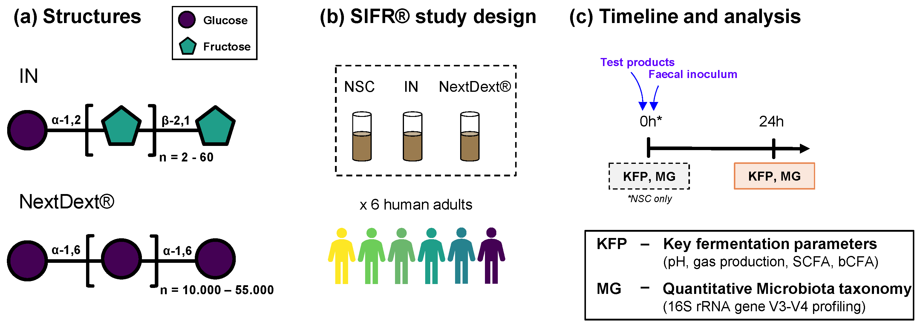 Biology 13 00051 g001
