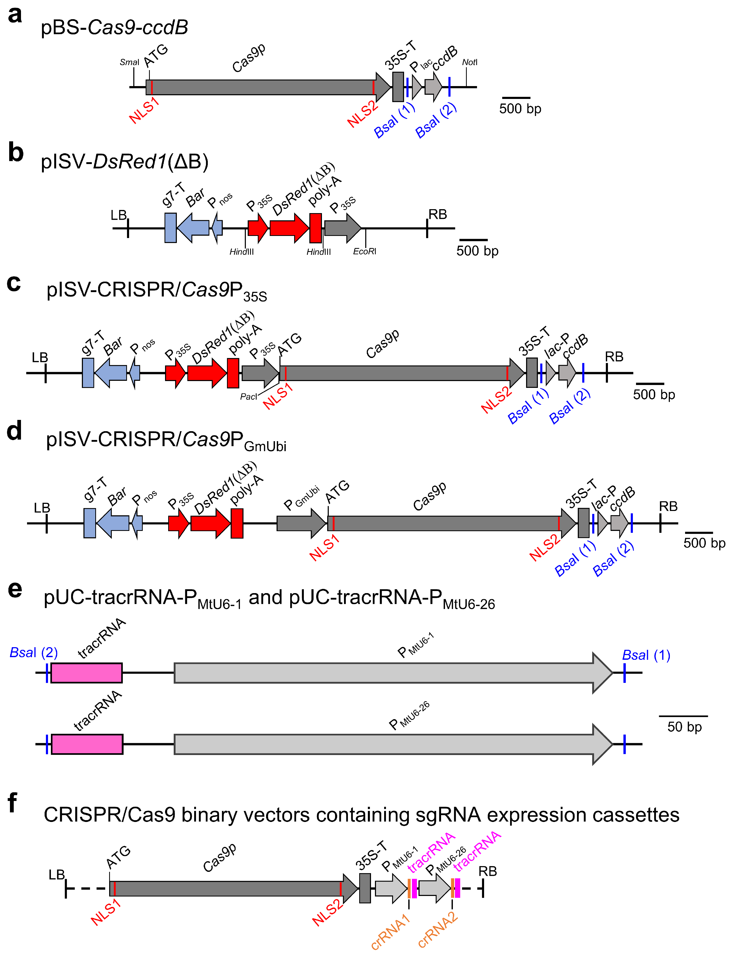Biology 13 00053 g001