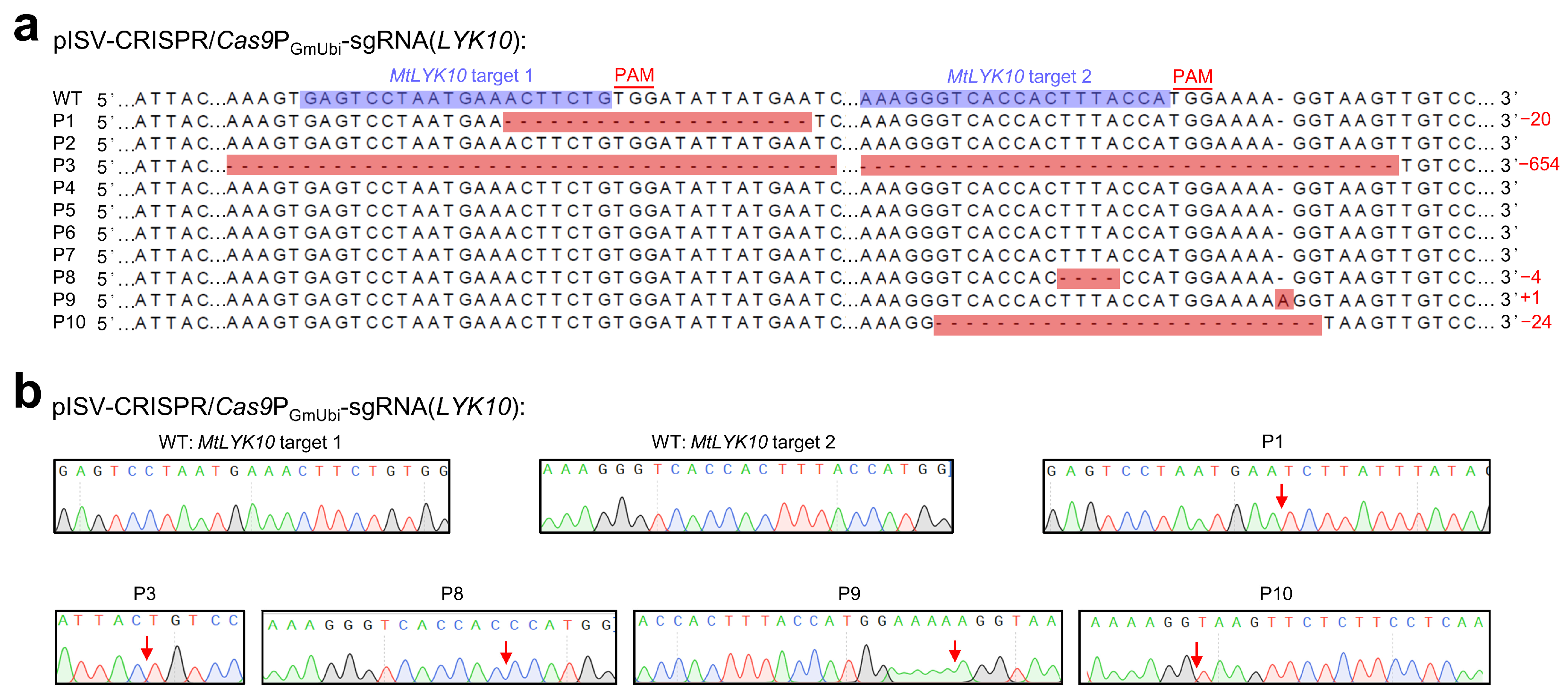 Biology 13 00053 g004