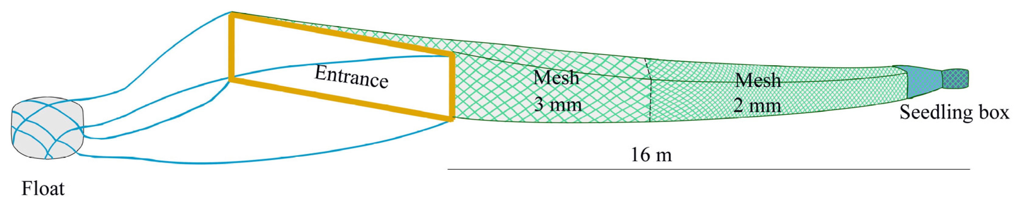 Biology 13 00056 g002