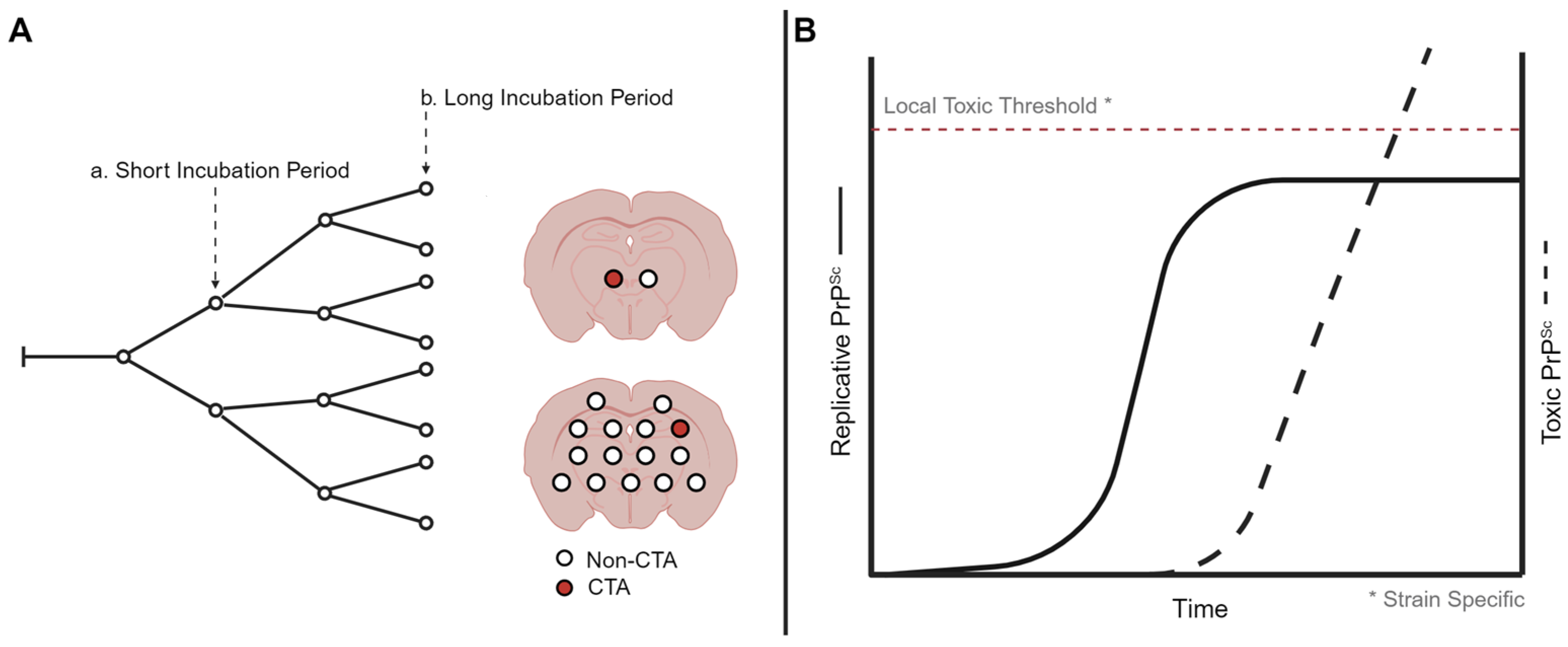 Biology 13 00057 g001 Biology 13 00057 g001
