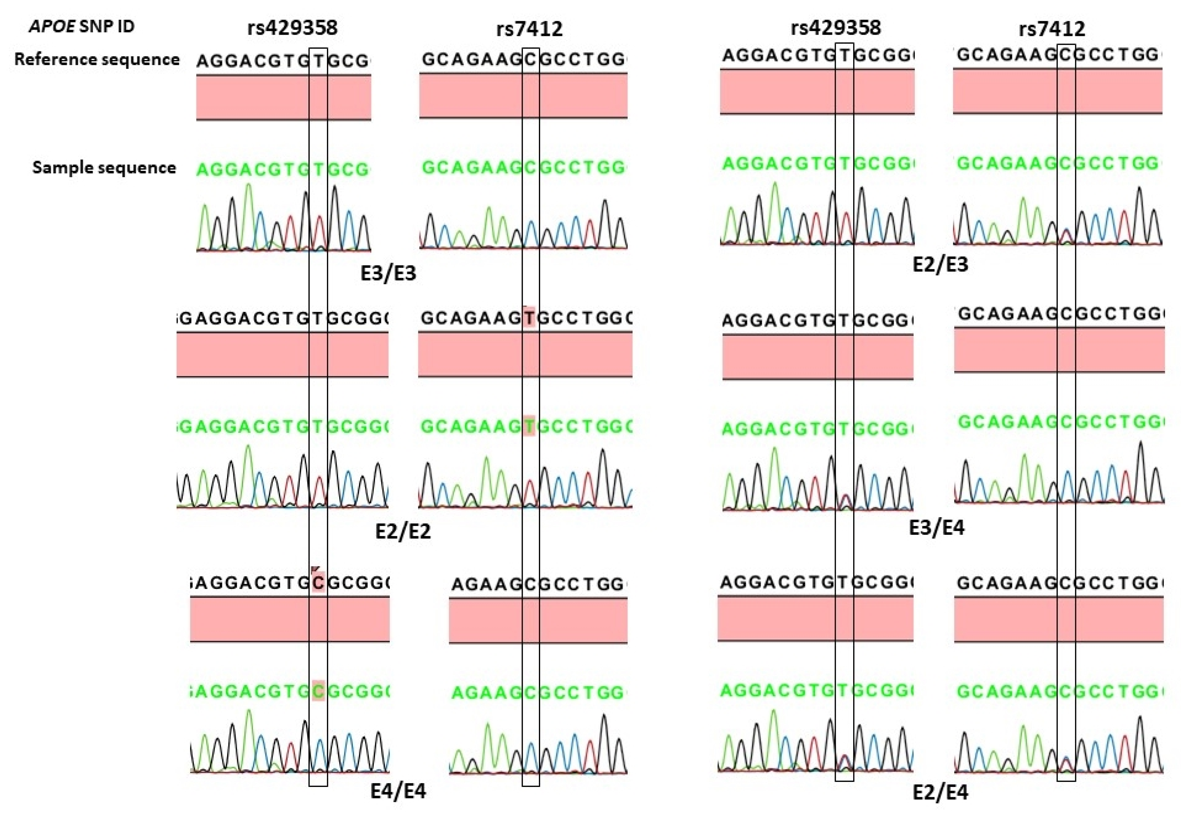 Biology 13 00062 g002