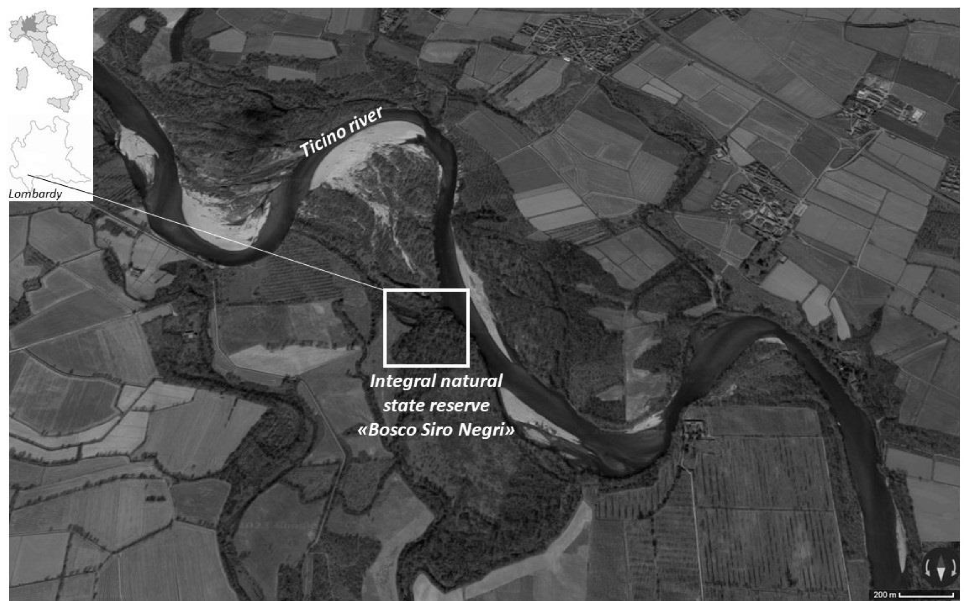 Biology 13 00064 g001