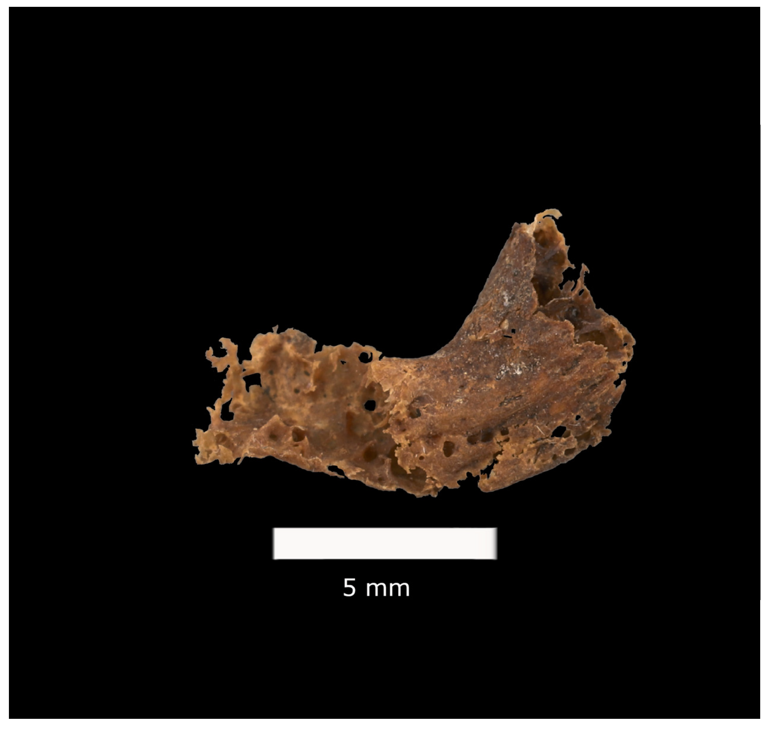 Biology 13 00066 g002 Biology 13 00066 g002
