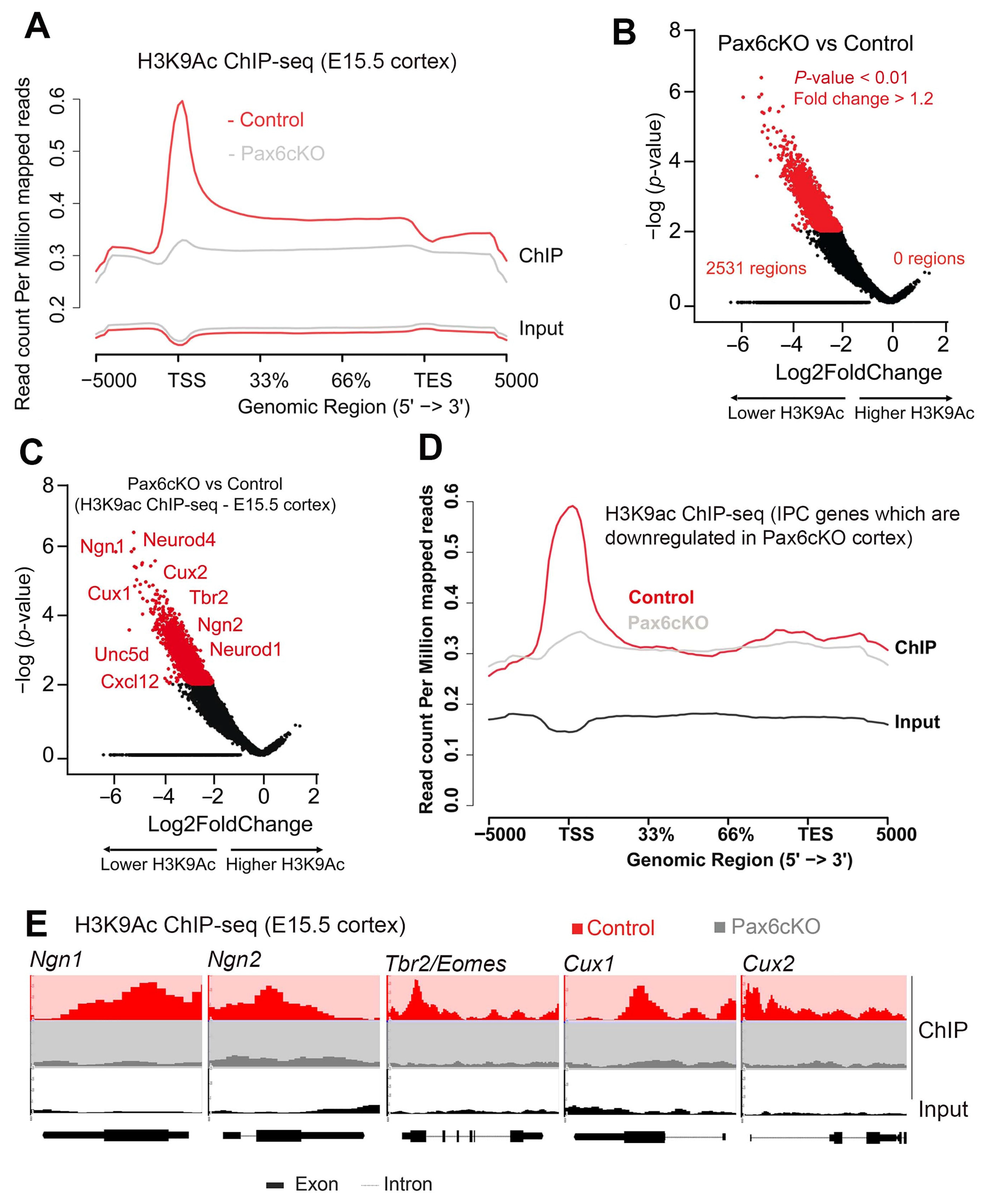 Biology 13 00068 g004