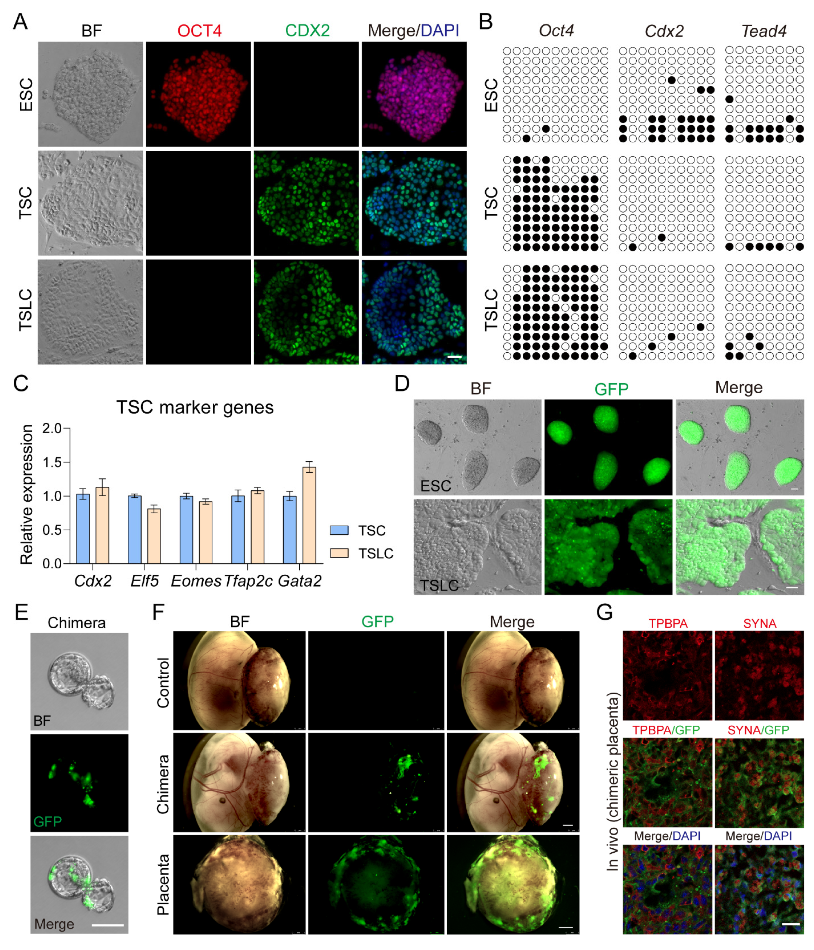 Biology 13 00071 g004
