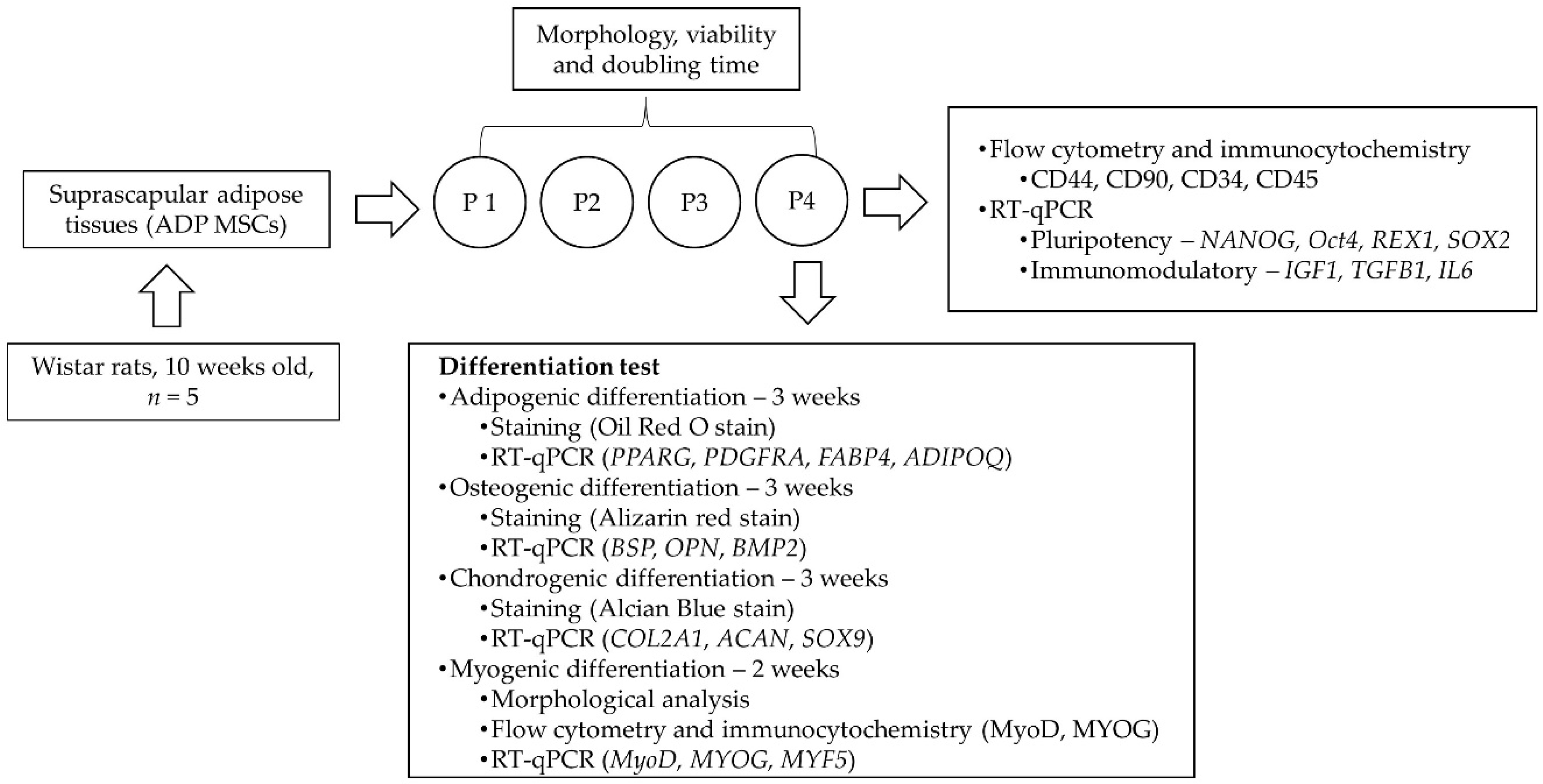 Biology 13 00072 g001 Biology 13 00072 g001