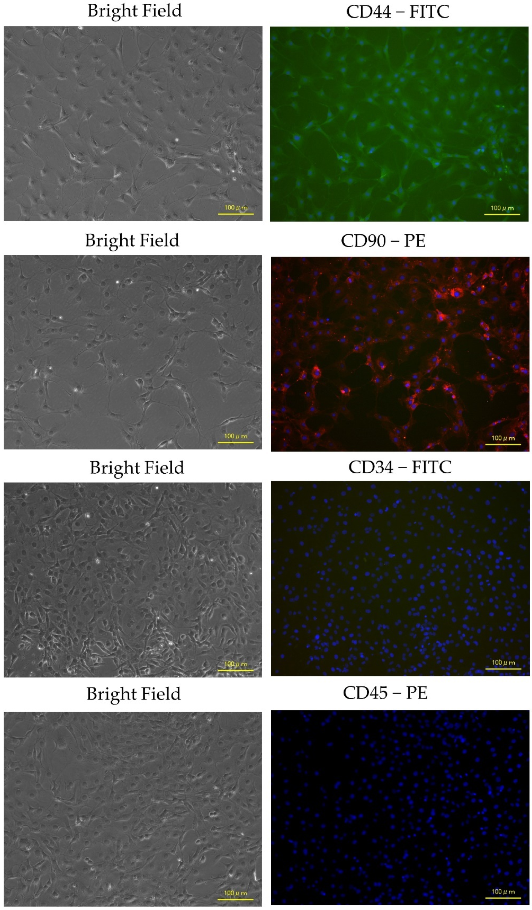 Biology 13 00072 g004 Biology 13 00072 g004