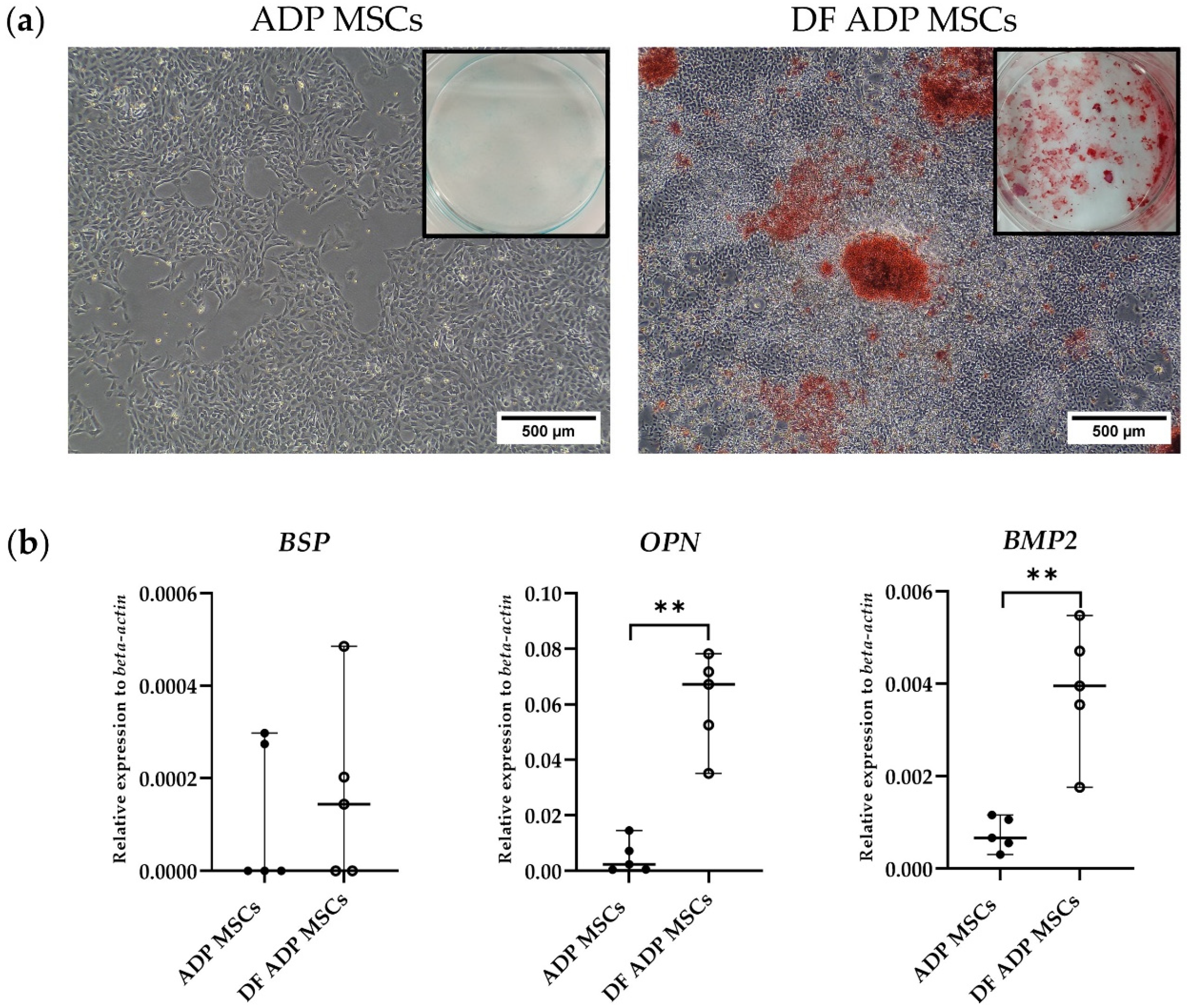 Biology 13 00072 g007 Biology 13 00072 g007