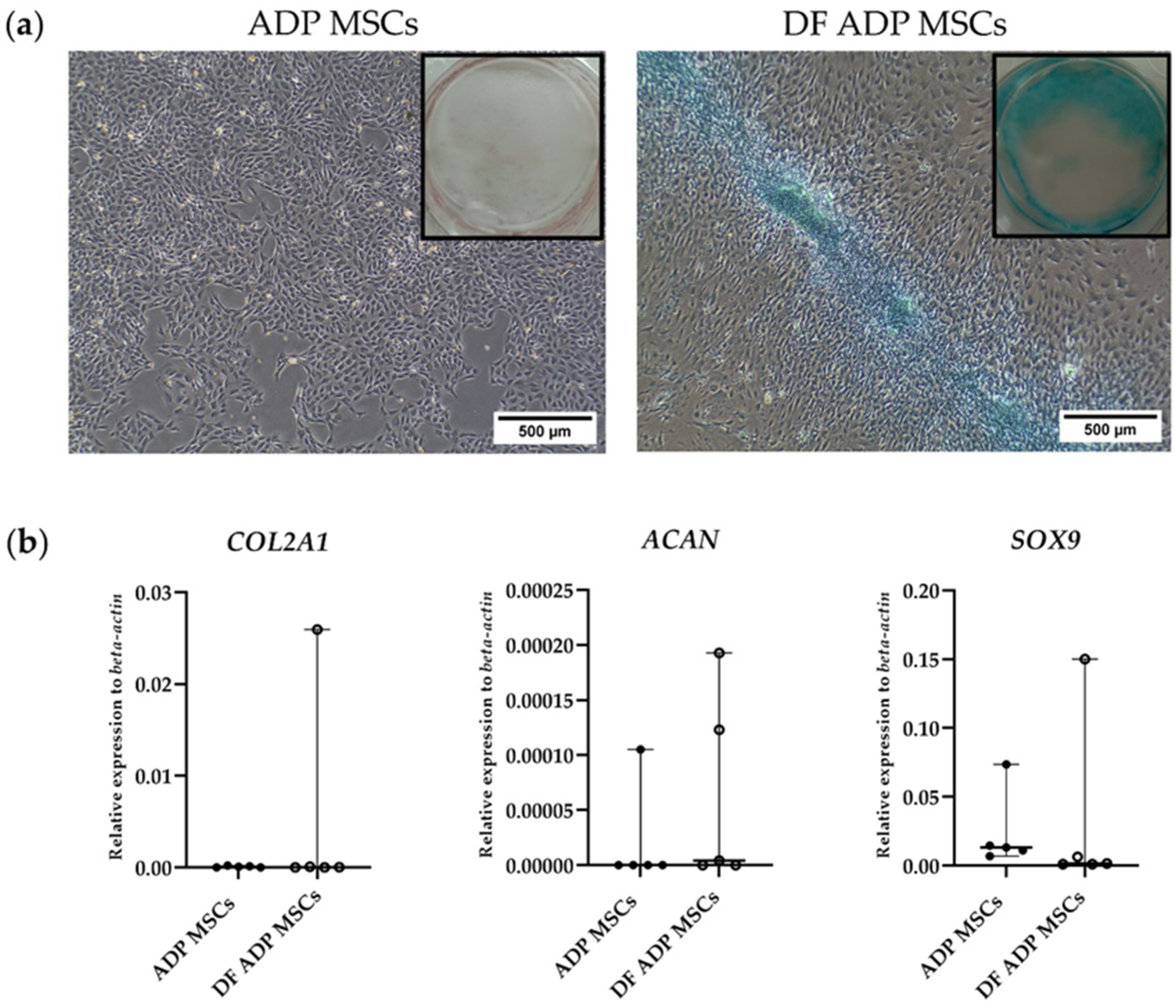 Biology 13 00072 g008 Biology 13 00072 g008