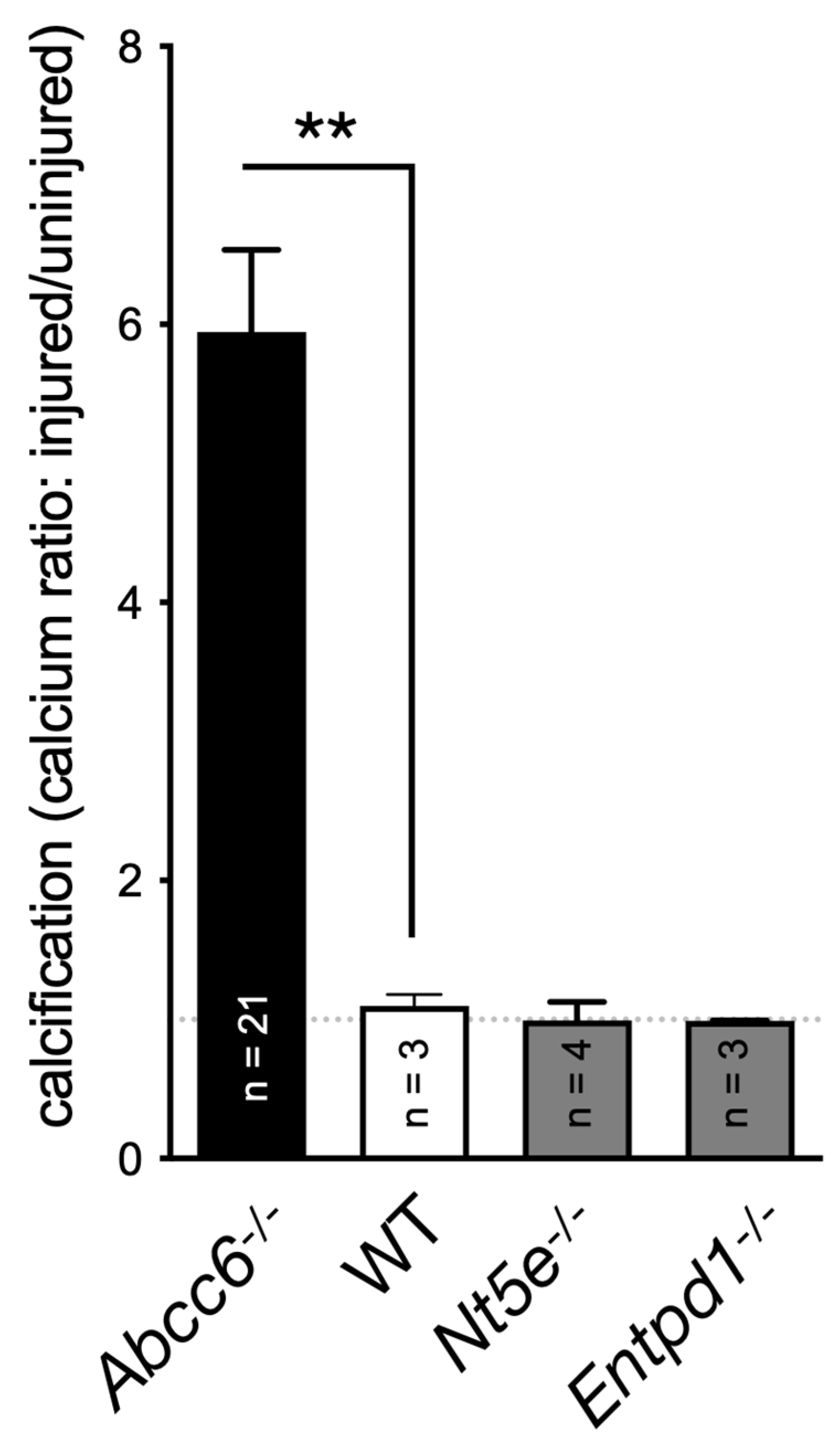 Biology 13 00074 g002 Biology 13 00074 g002