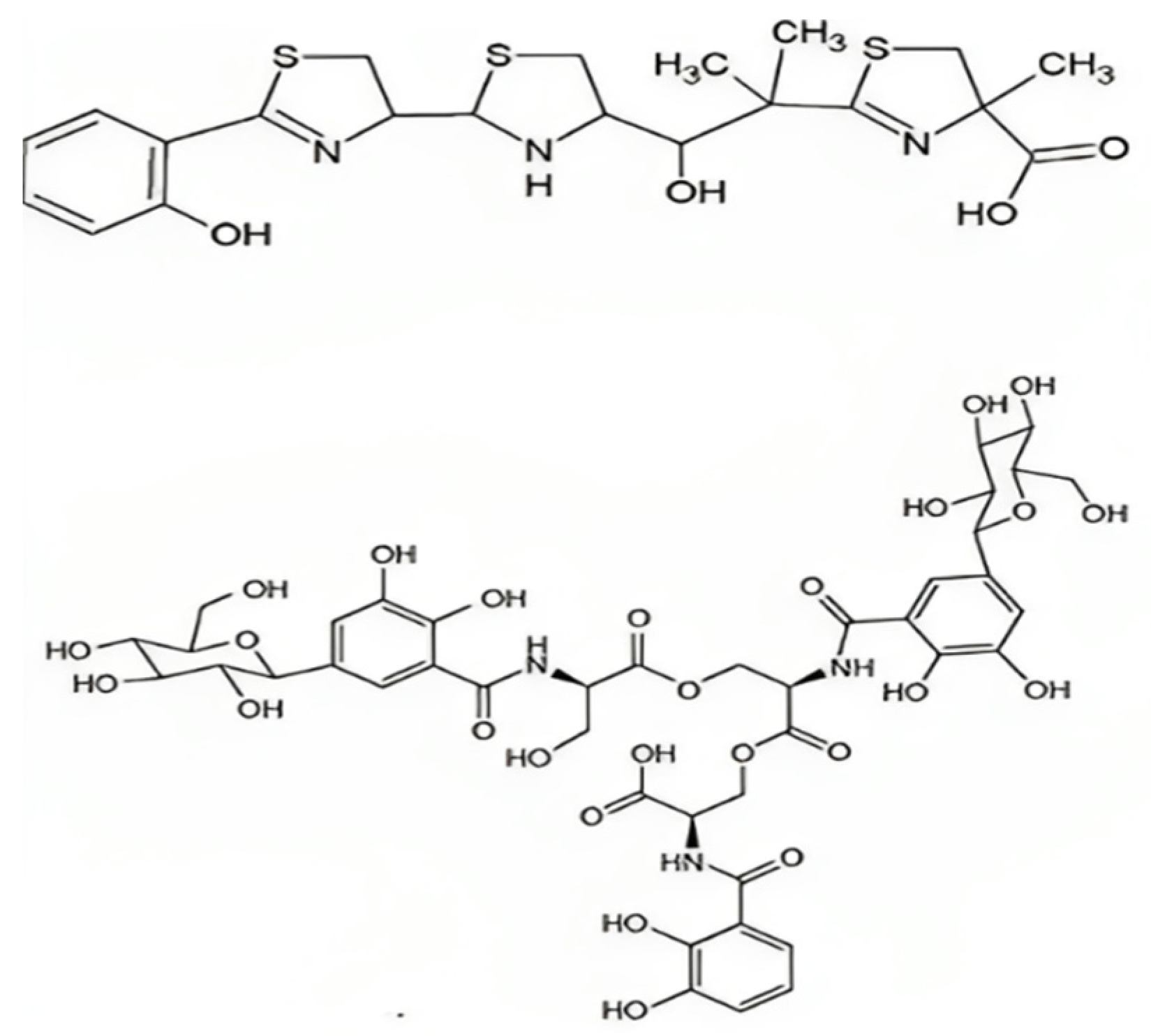 Biology 13 00078 g005
