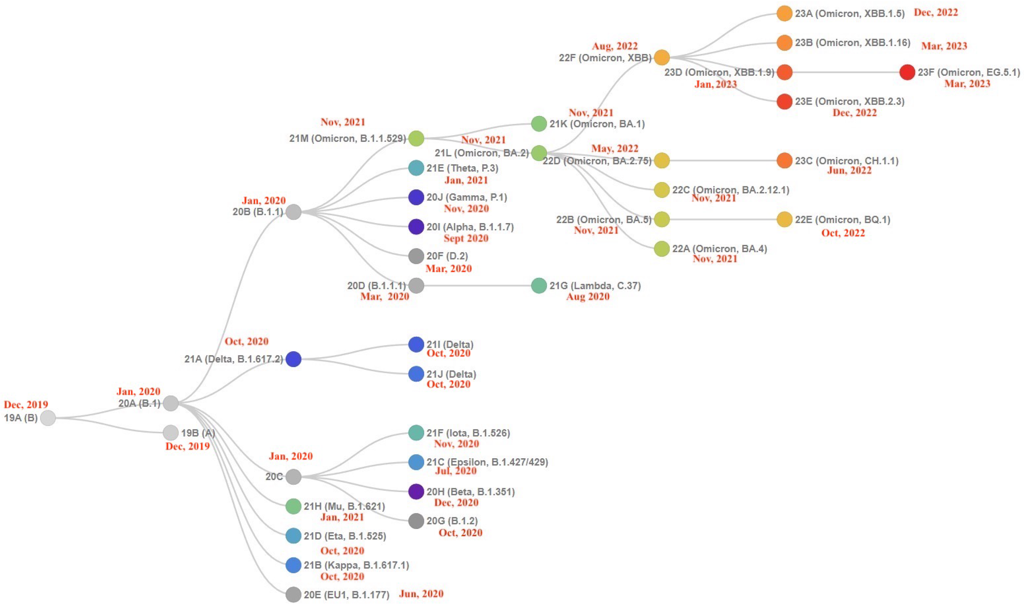 The Omicron XBB.1 Variant and Its Descendants: Genomic Mutations 