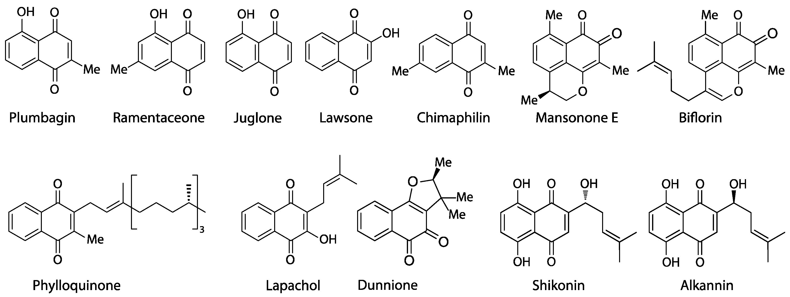 Biology 13 00097 g001 Biology 13 00097 g001