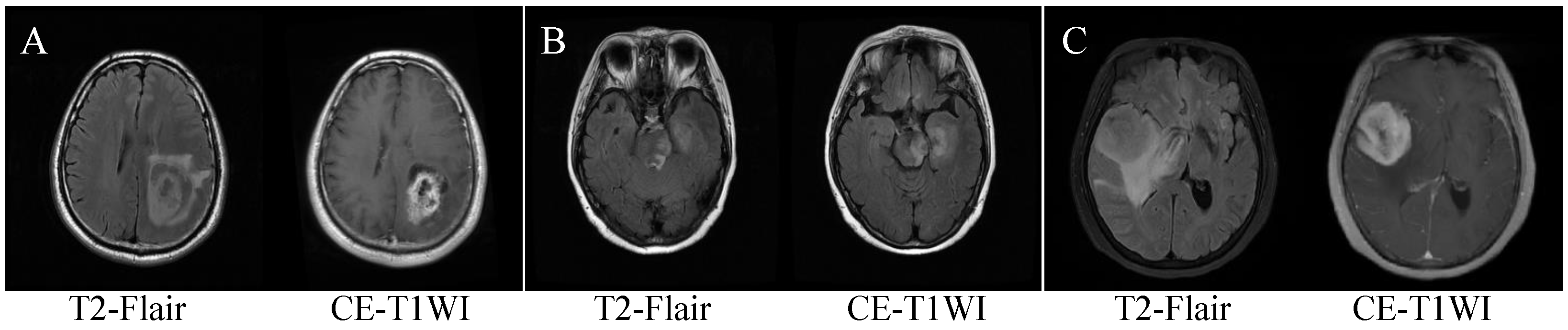 Biology 13 00099 g001