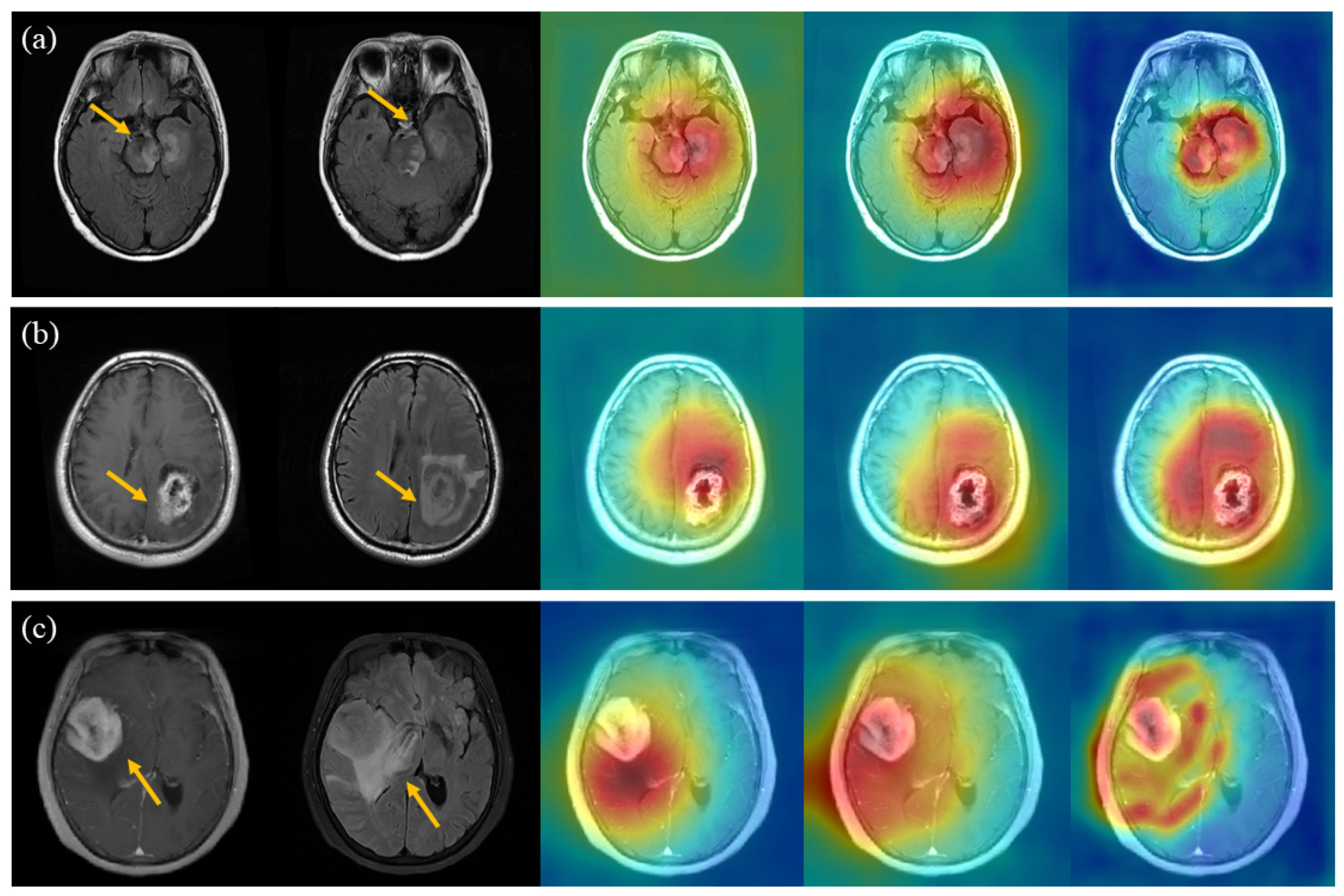 Biology 13 00099 g006