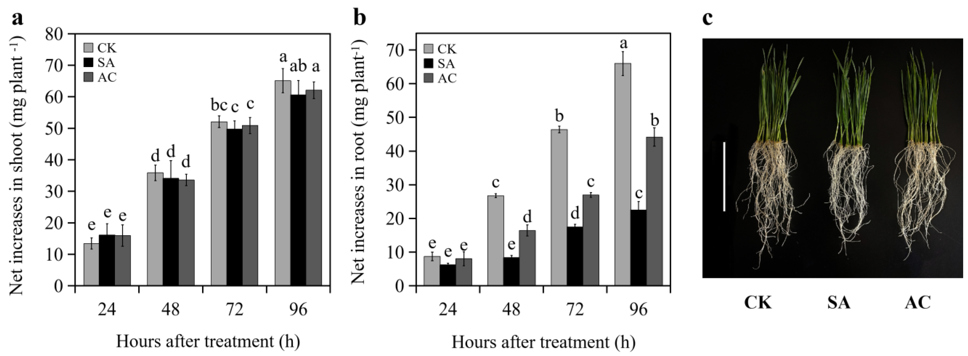 Biology 13 00101 g001