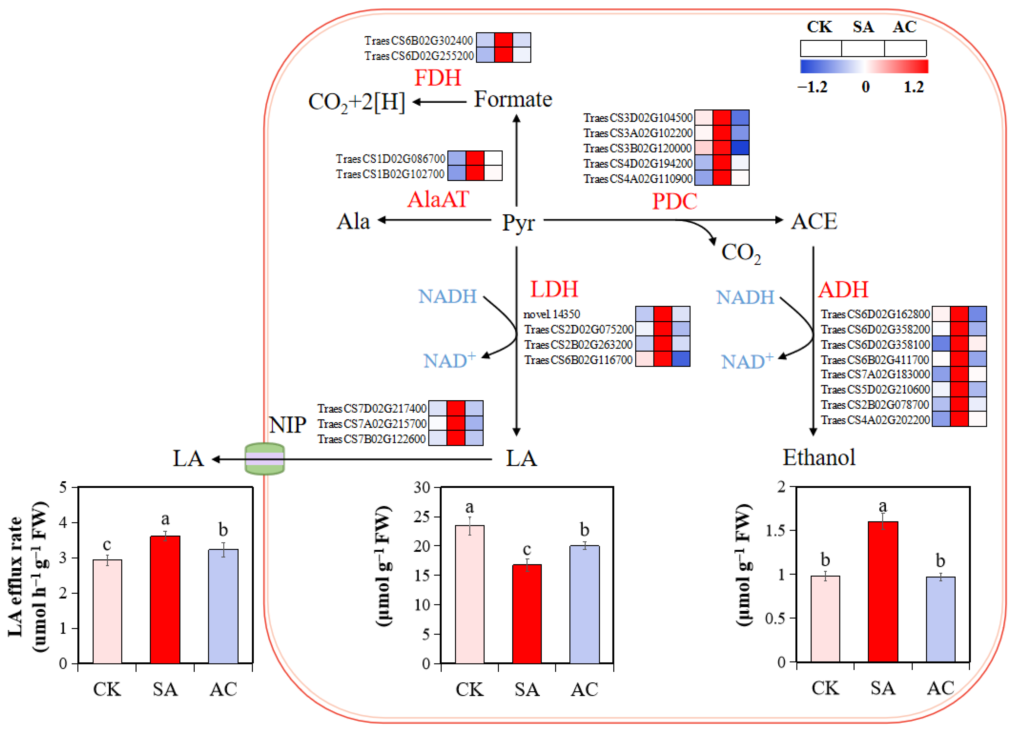 Biology 13 00101 g003