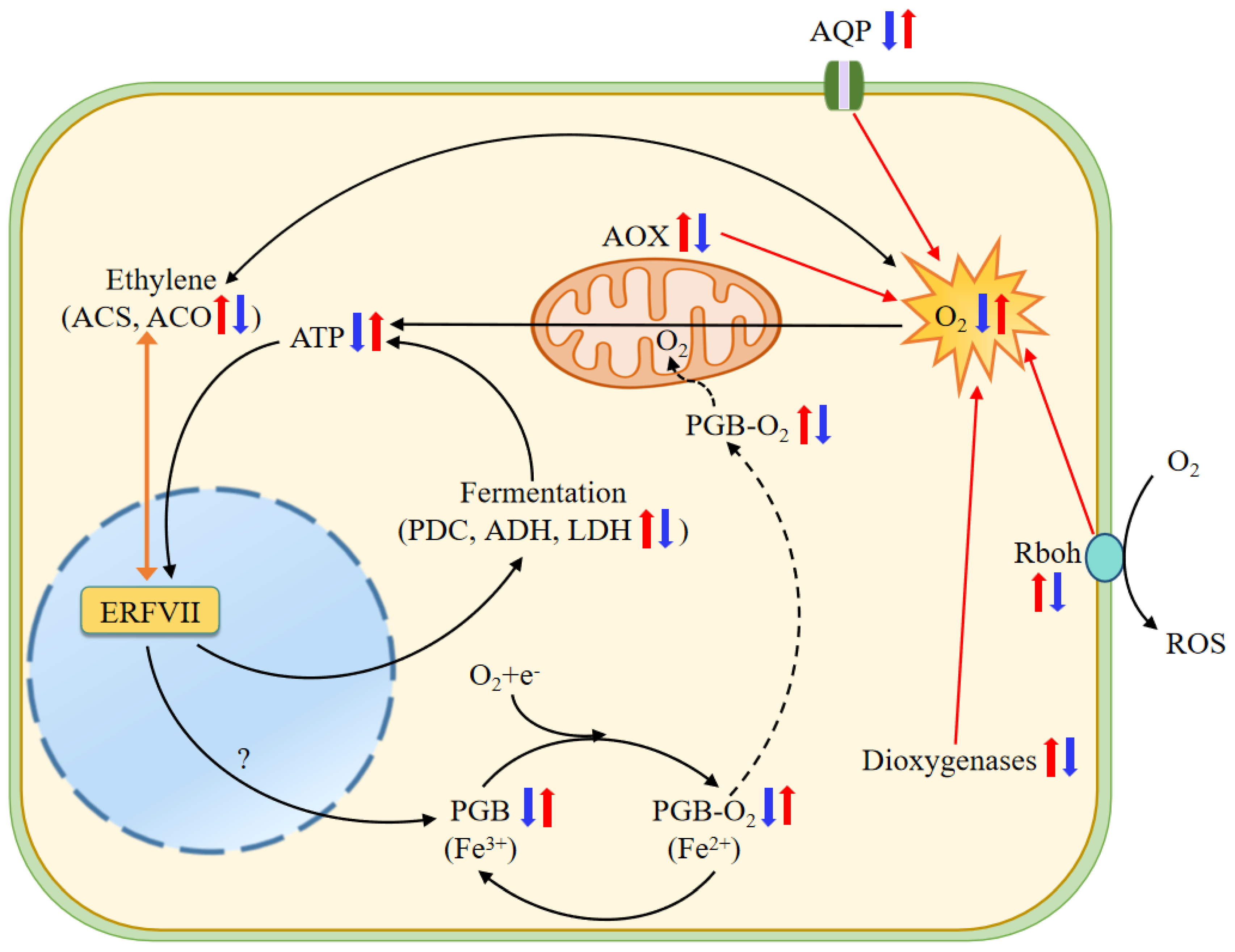 Biology 13 00101 g010