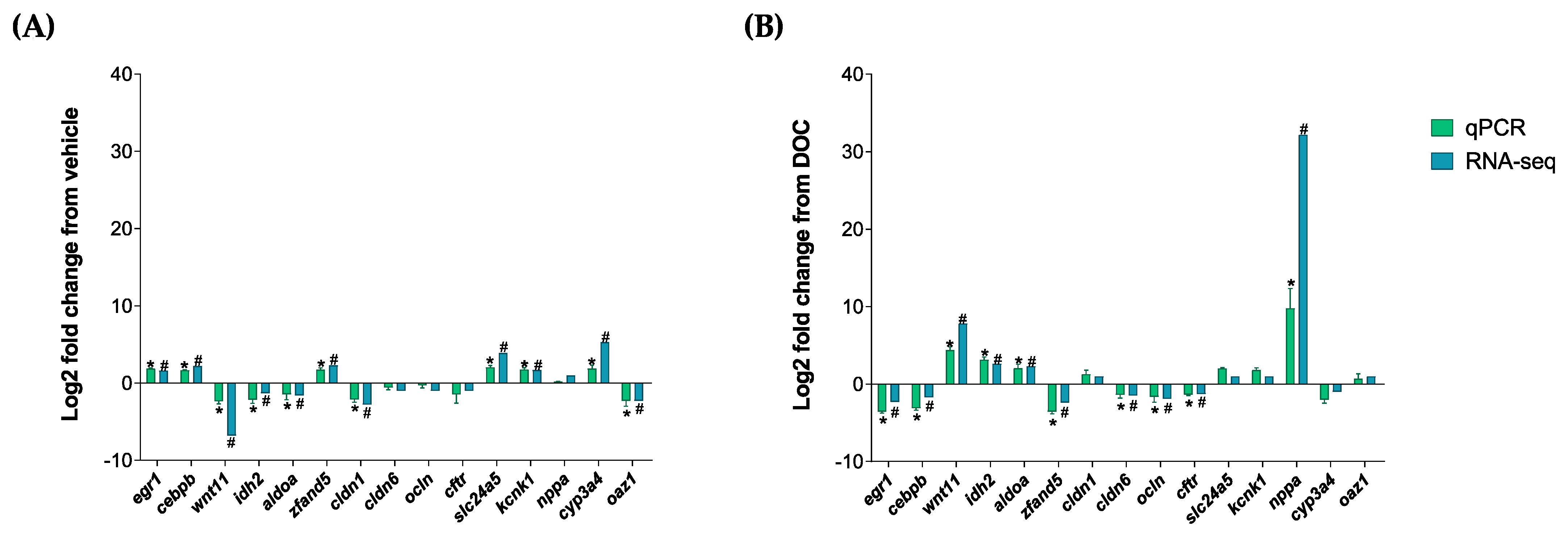 Biology 13 00107 g005 Biology 13 00107 g005