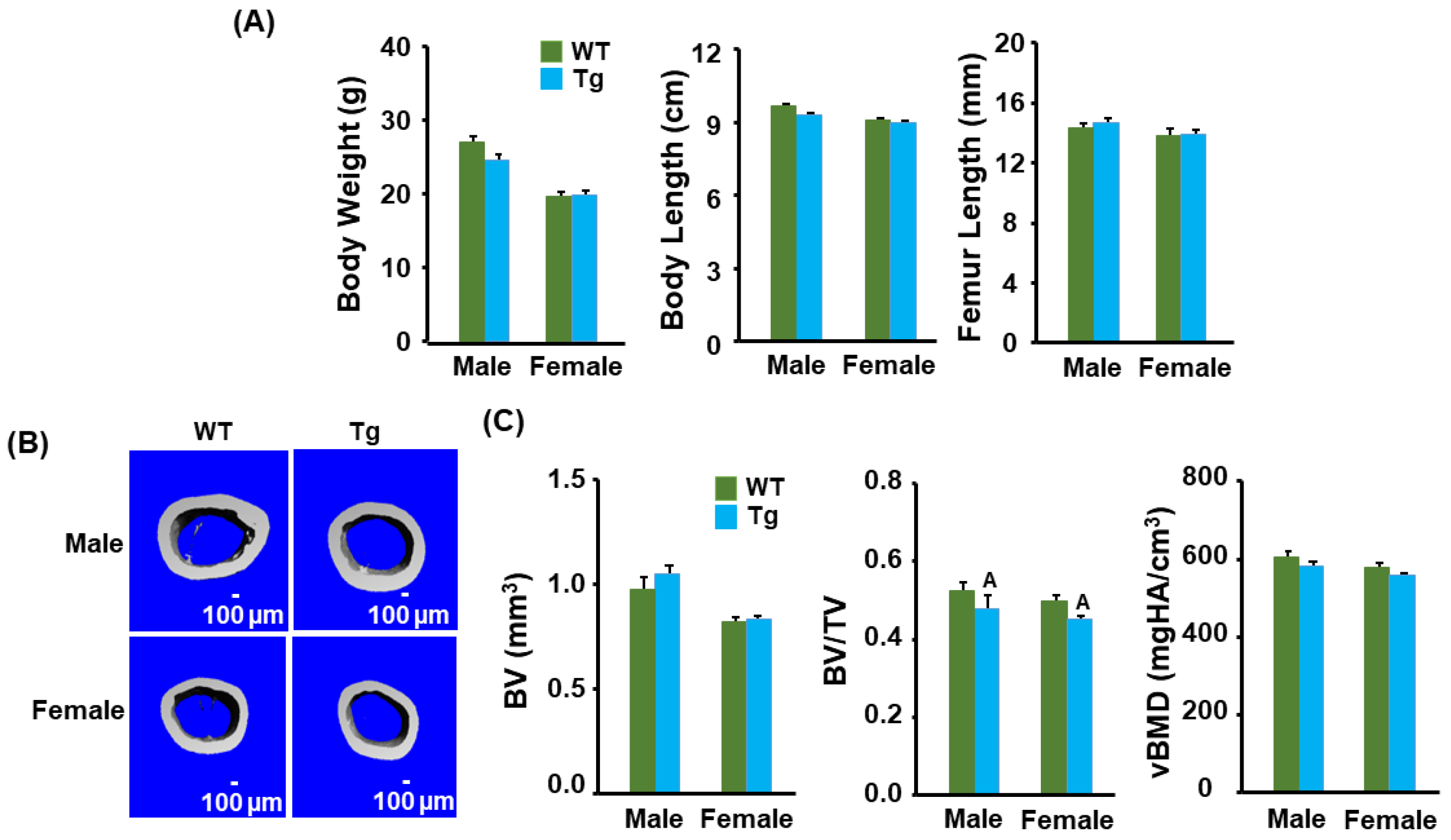 Biology 13 00108 g002