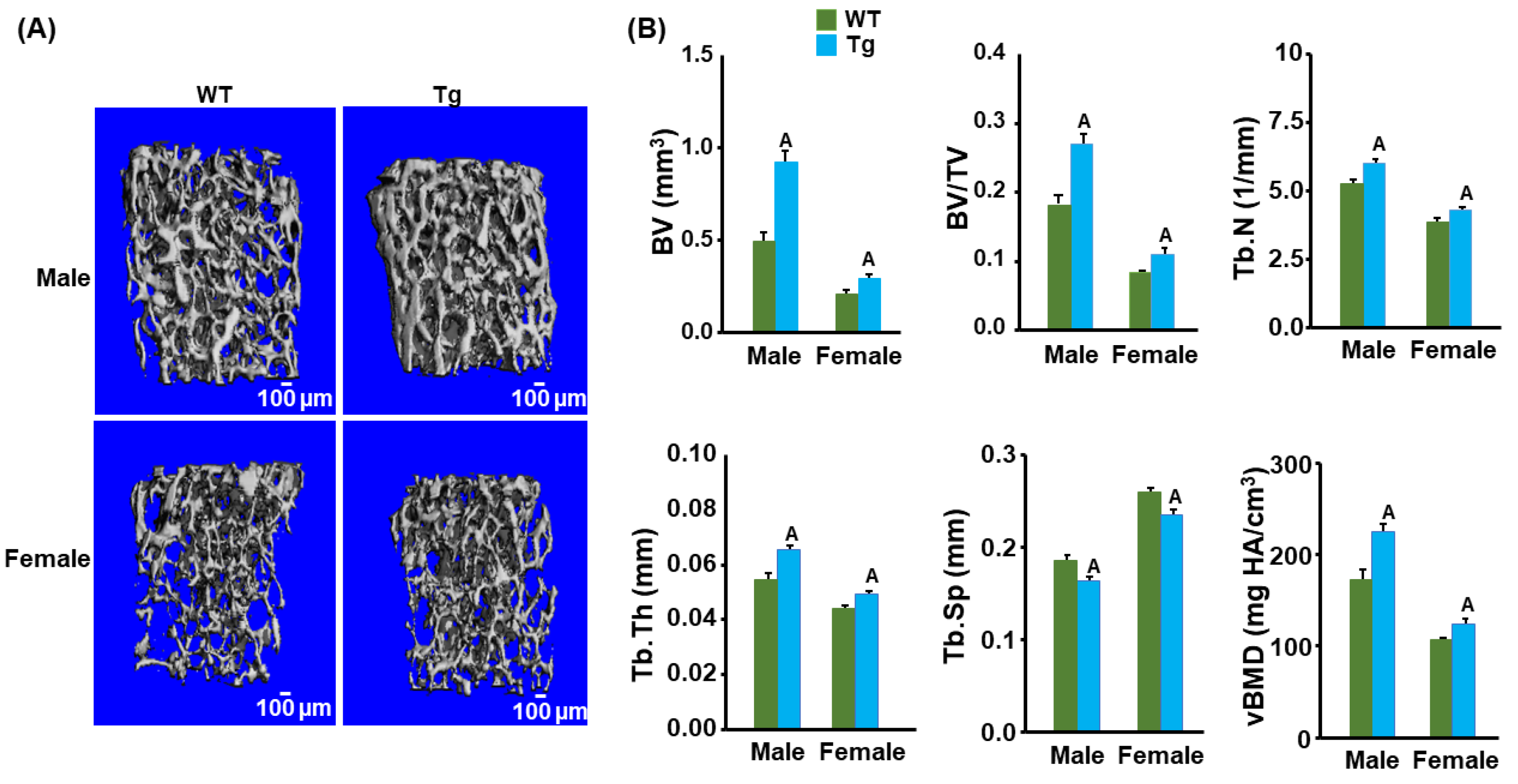 Biology 13 00108 g003