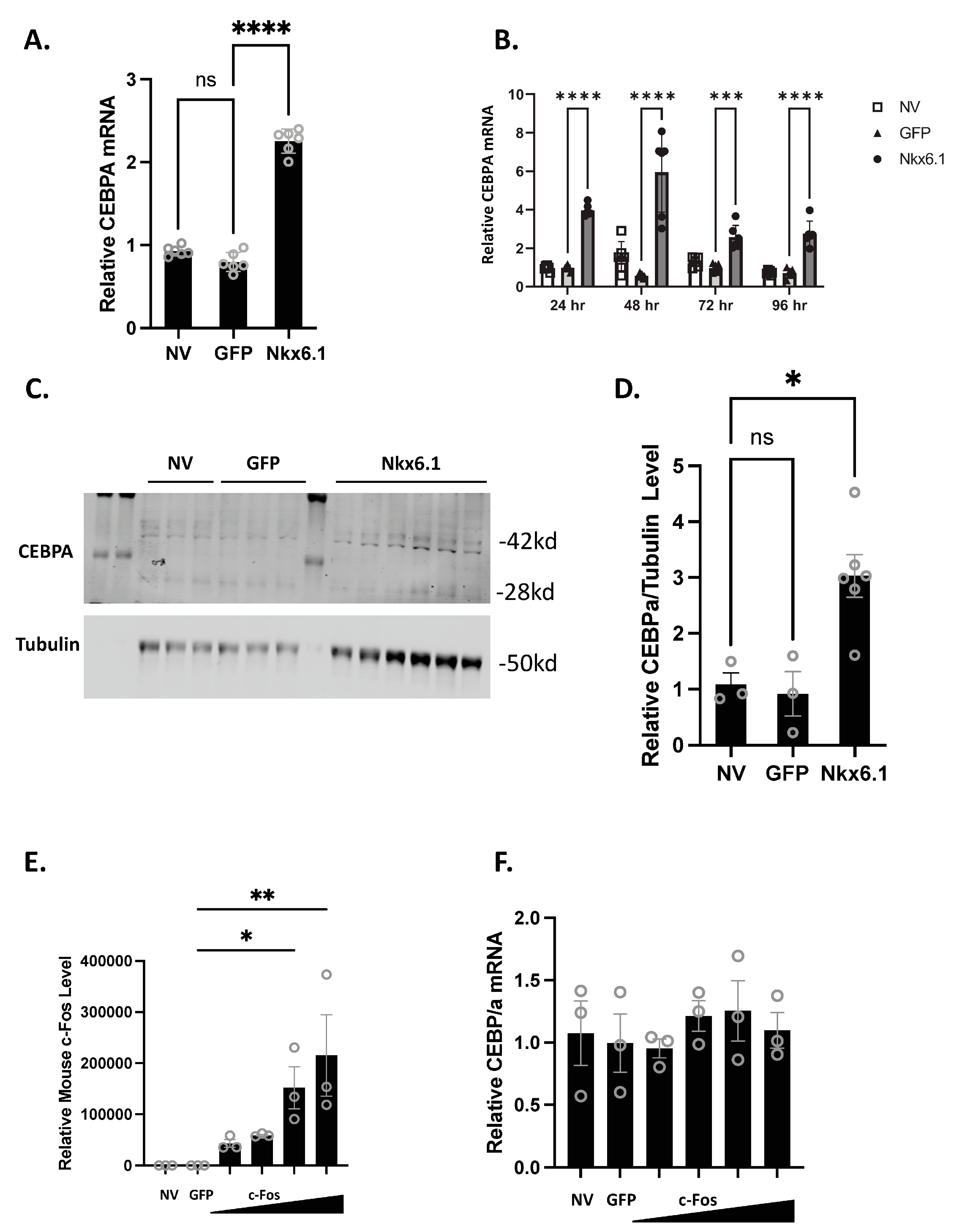 Biology 13 00110 g001