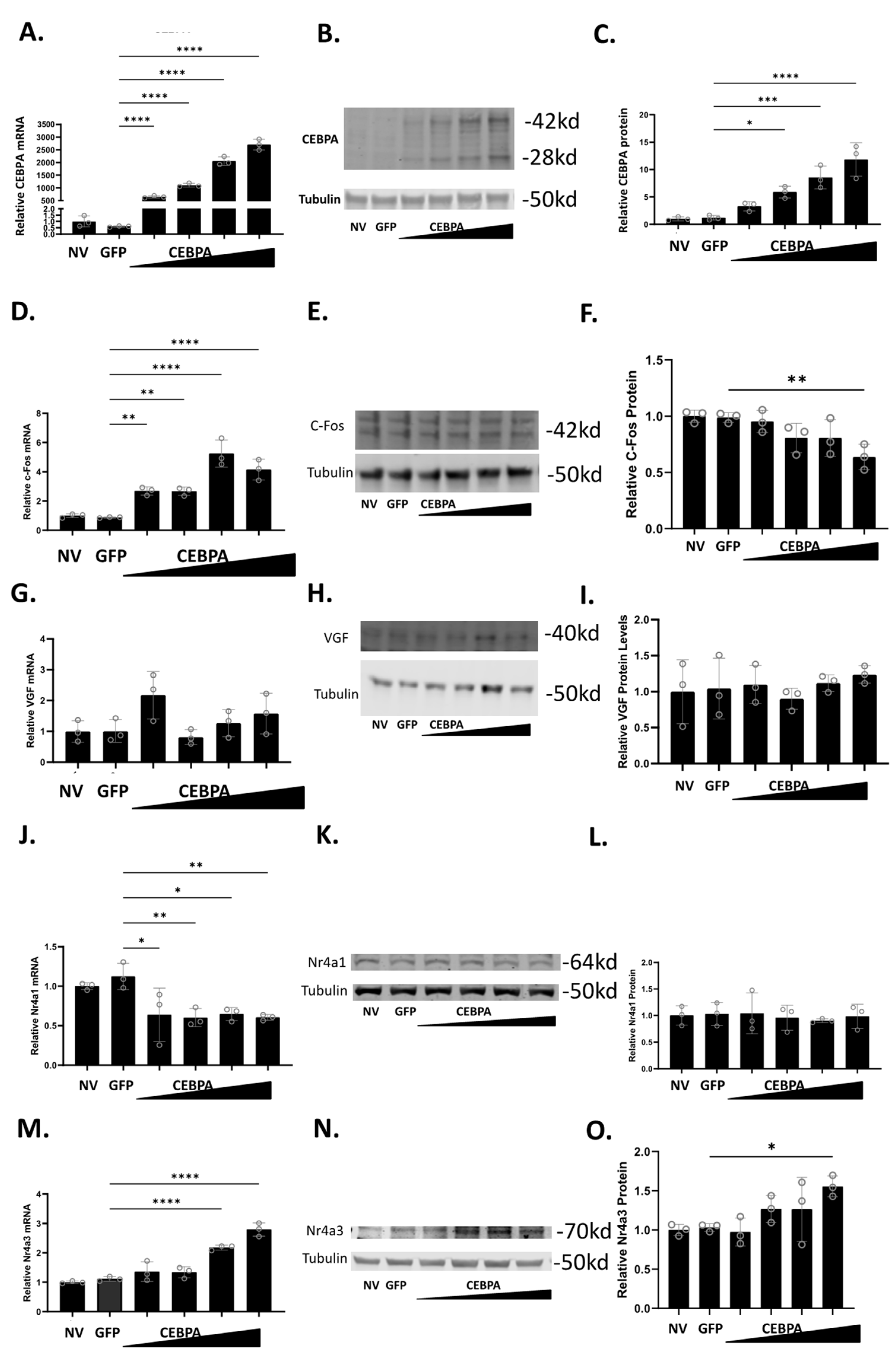 Biology 13 00110 g002