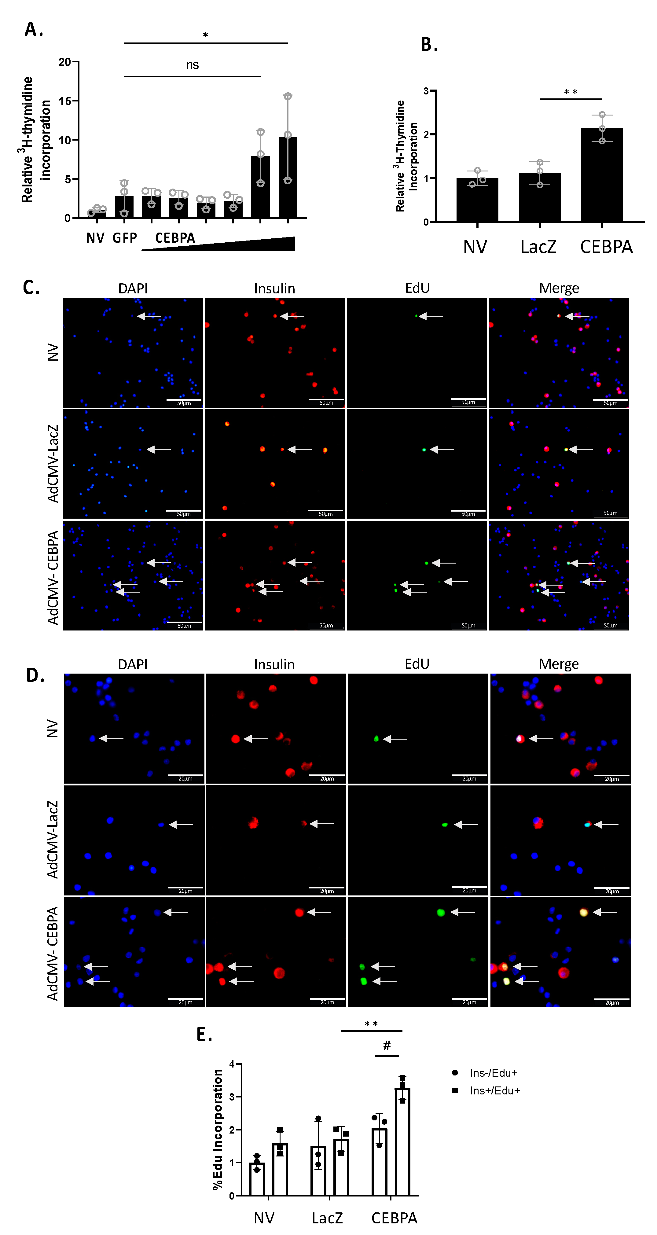 Biology 13 00110 g004