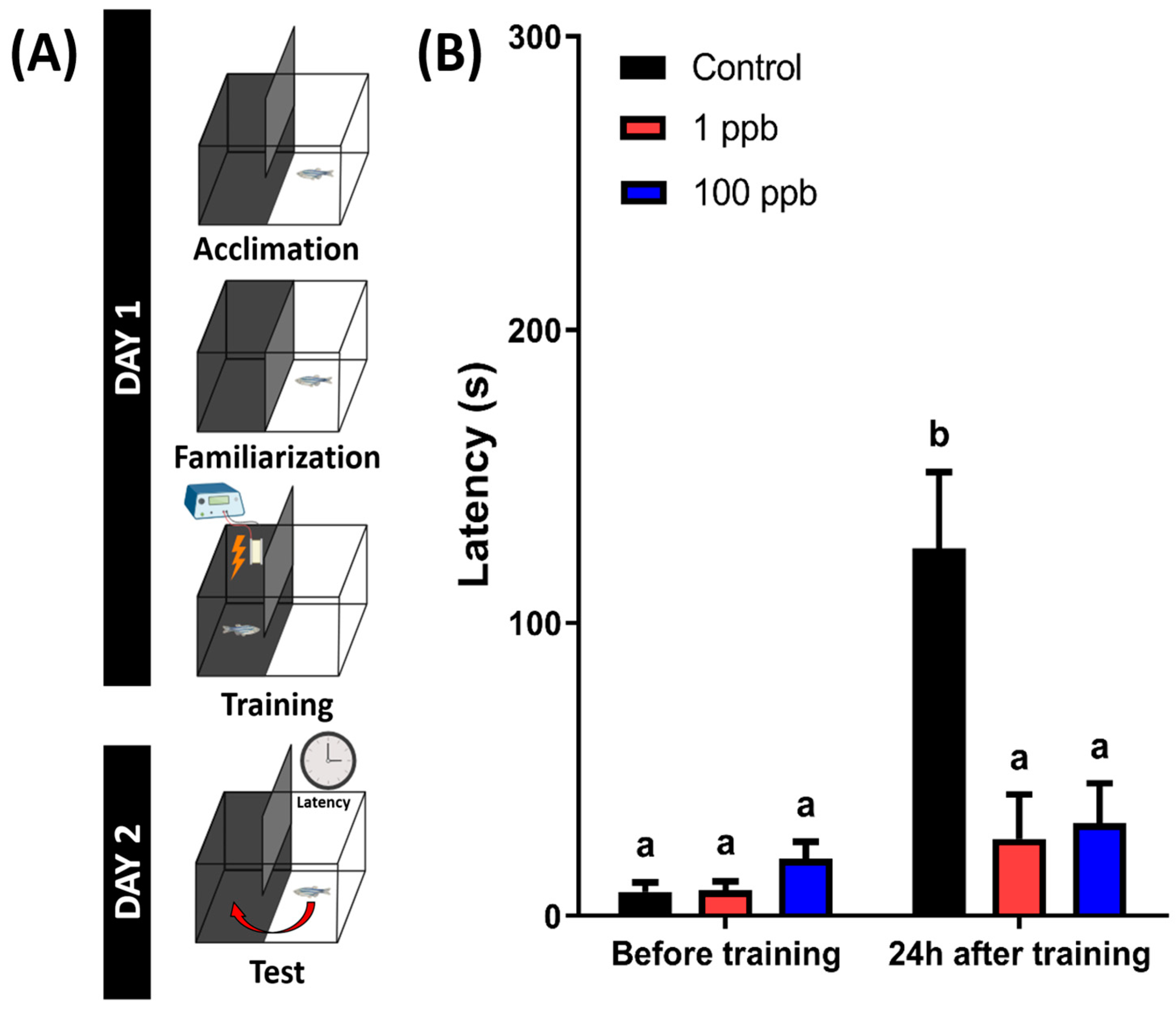 Biology 13 00112 g010