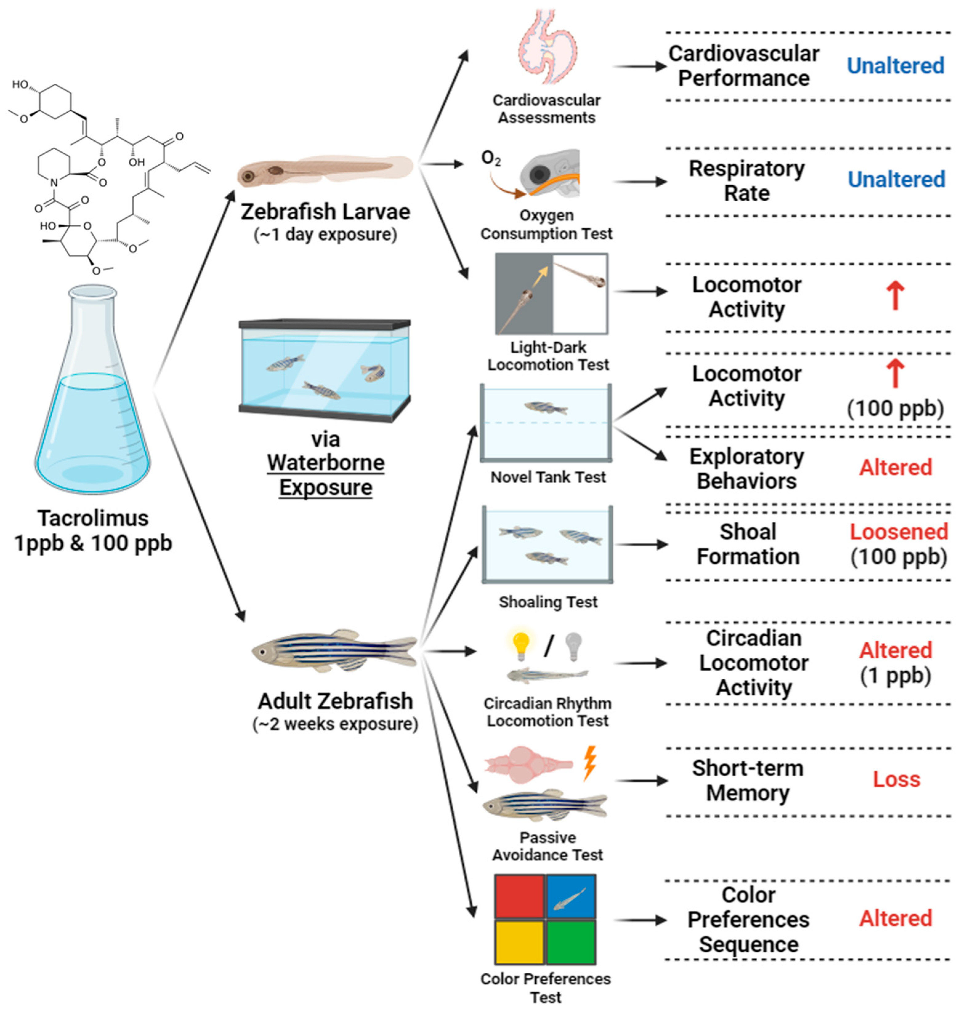 Biology 13 00112 g012