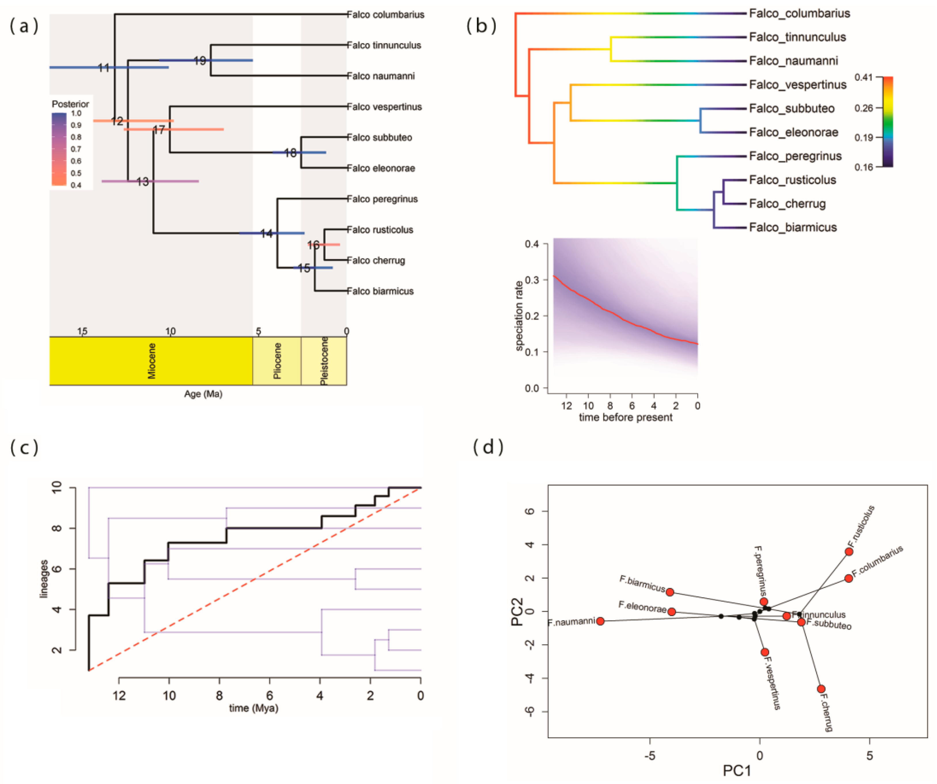Biology 13 00113 g001