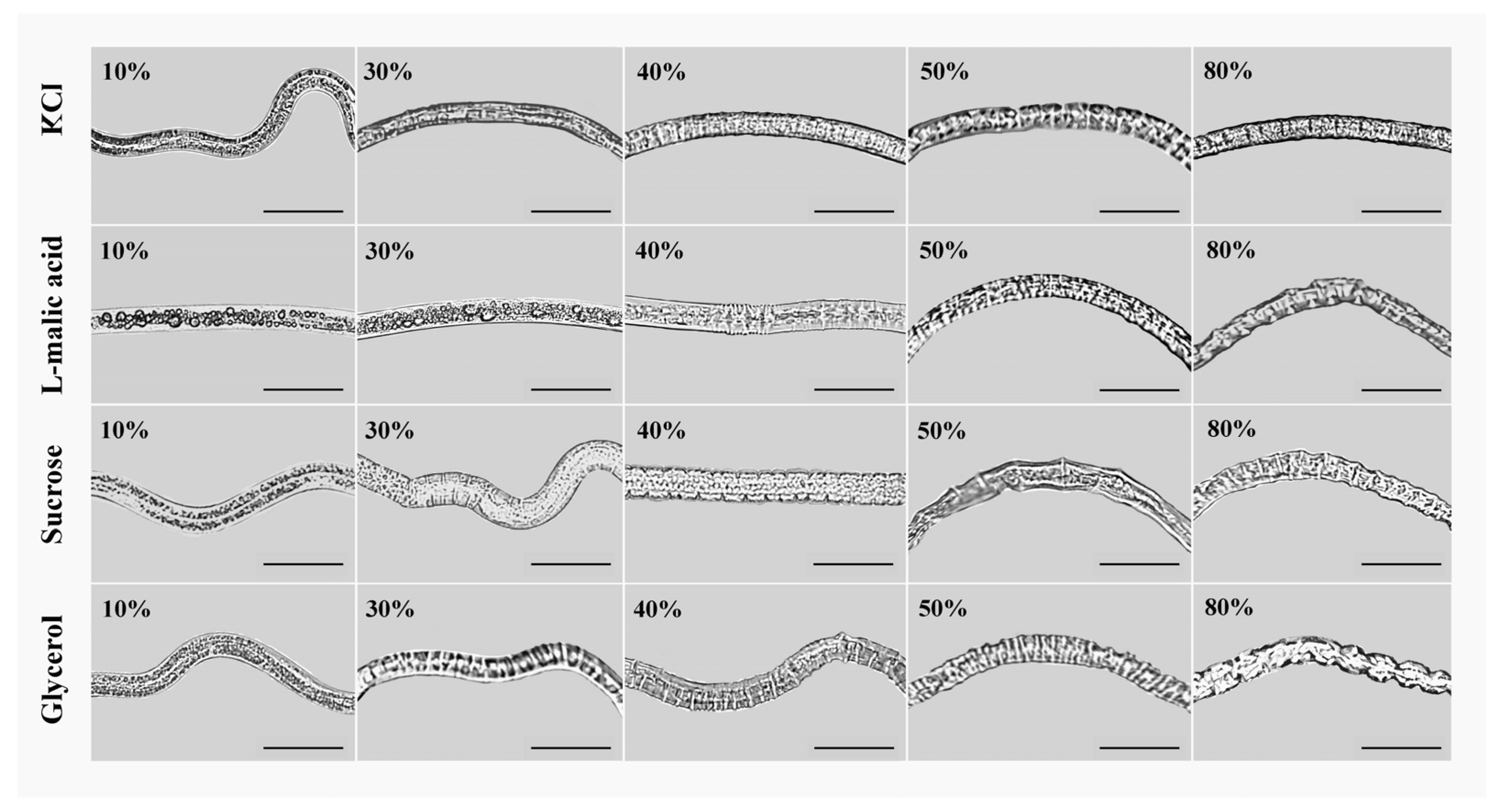 Biology 13 00123 g001 Biology 13 00123 g001