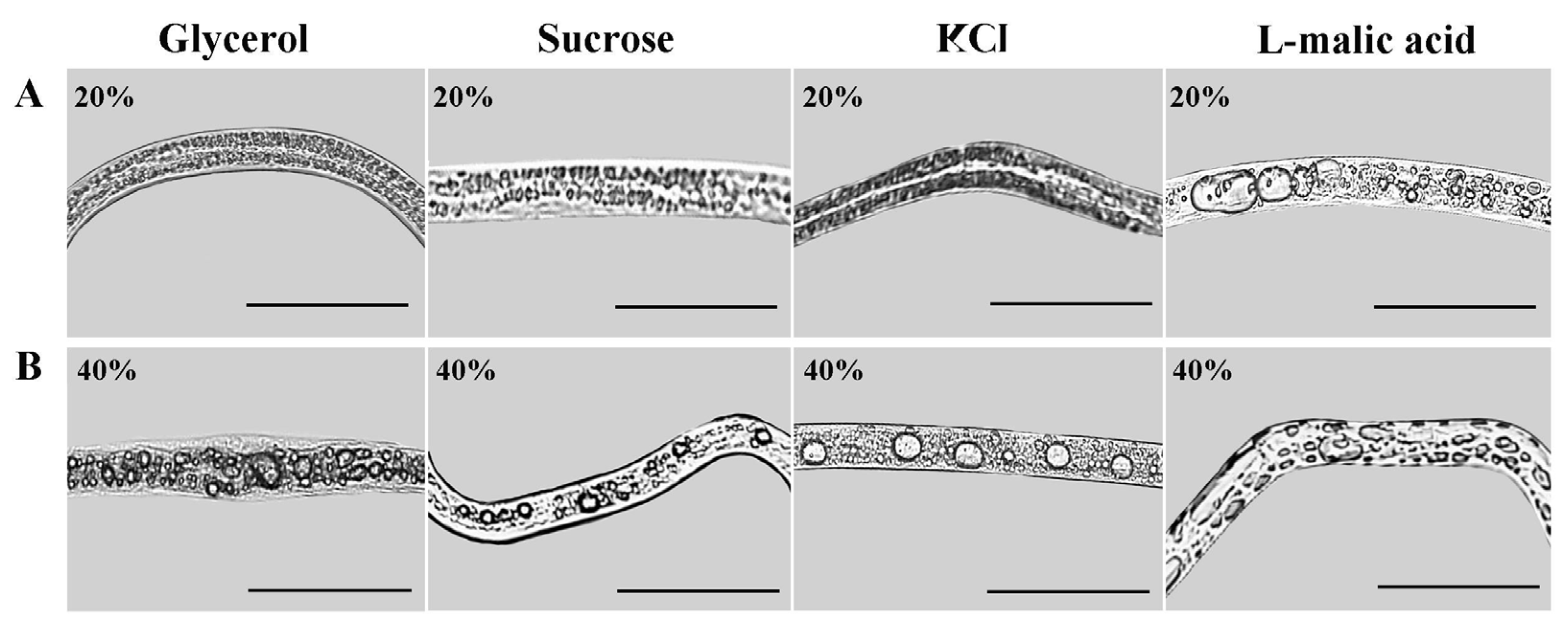 Biology 13 00123 g002 Biology 13 00123 g002
