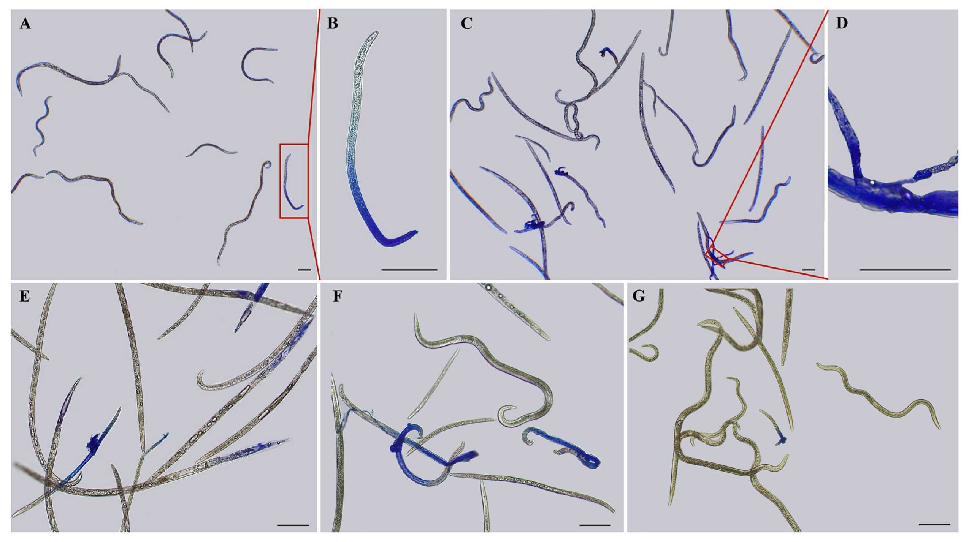 Biology 13 00123 g003 Biology 13 00123 g003