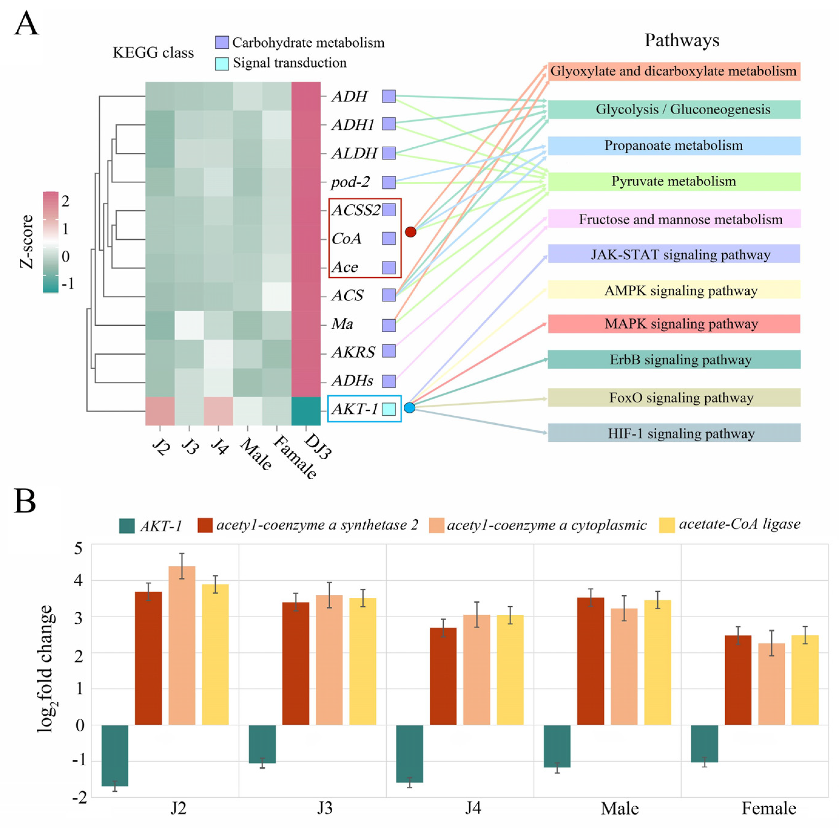 Biology 13 00123 g009 Biology 13 00123 g009