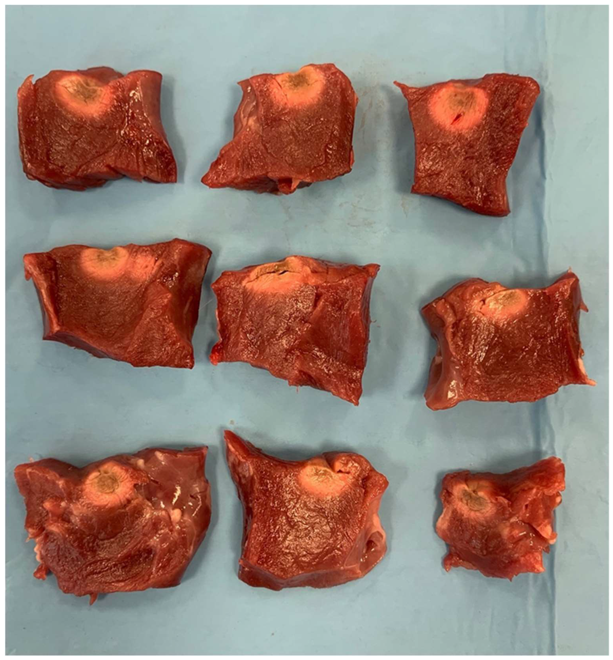 Biology 13 00132 g003