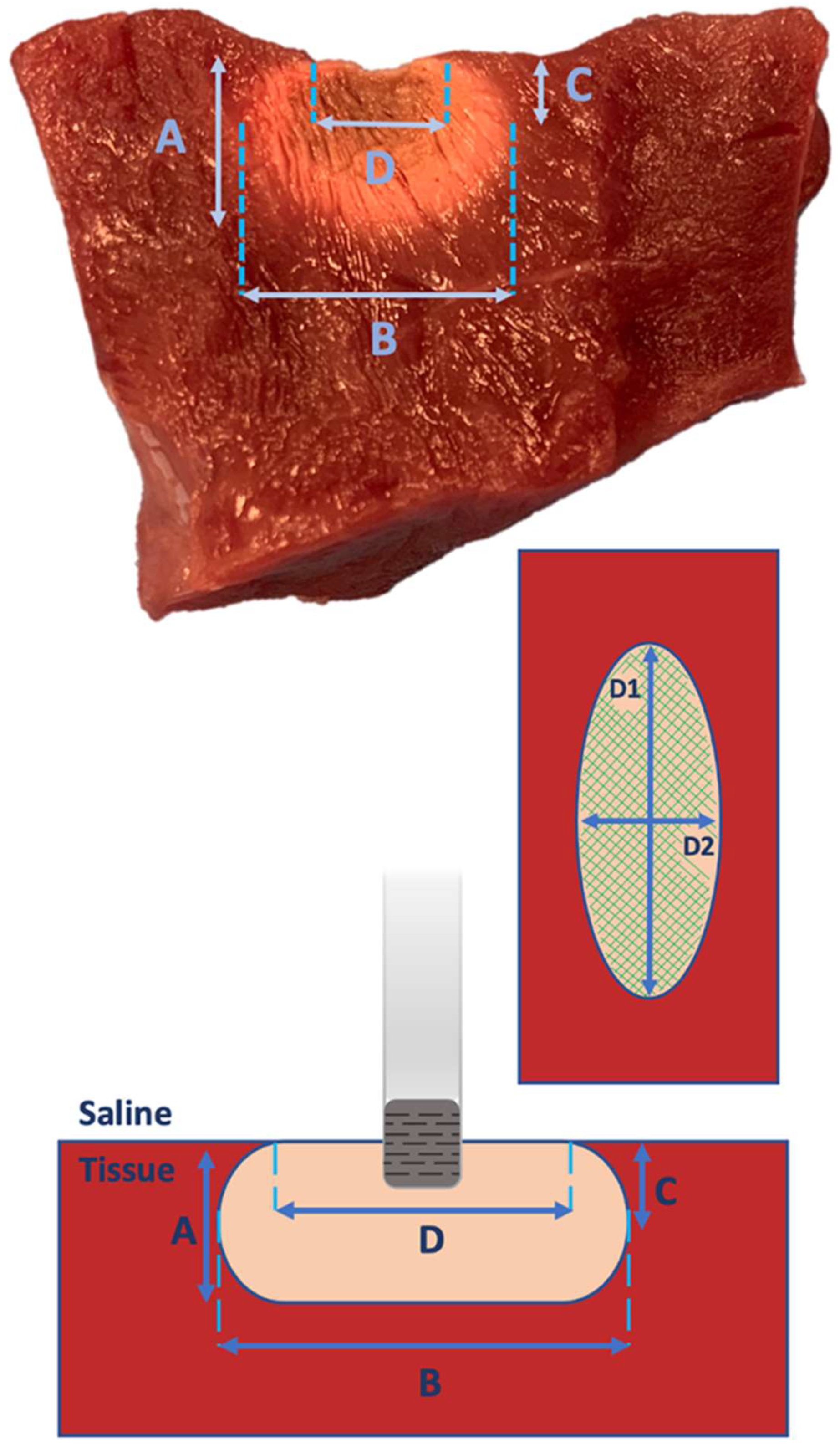 Biology 13 00132 g004