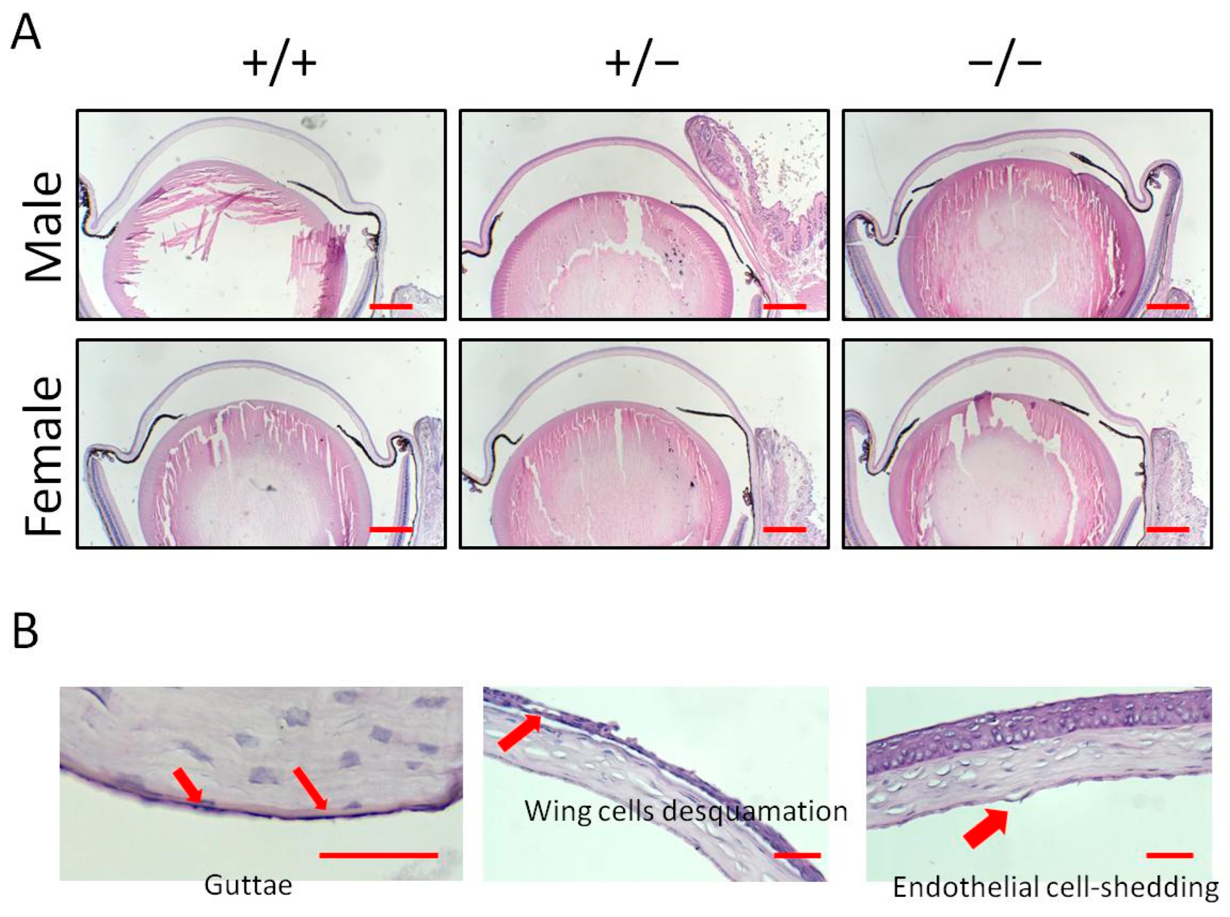 Biology 13 00133 g002