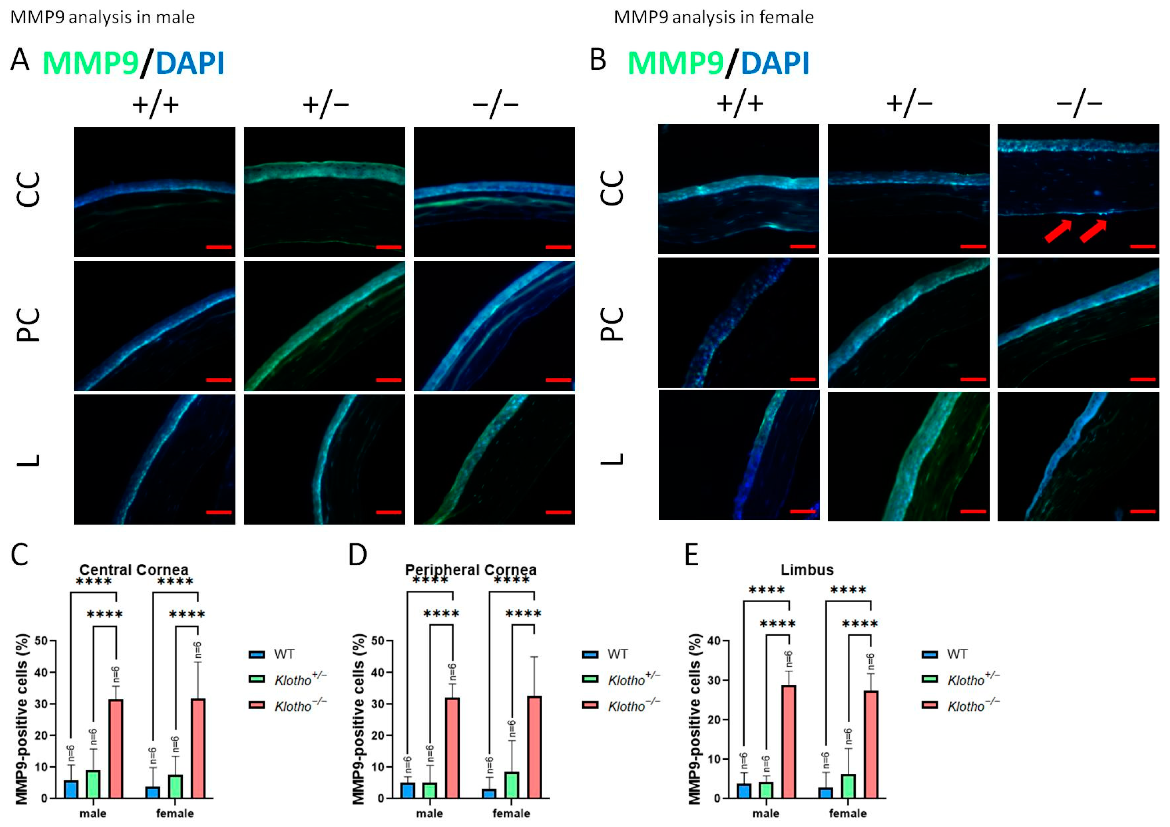 Biology 13 00133 g005