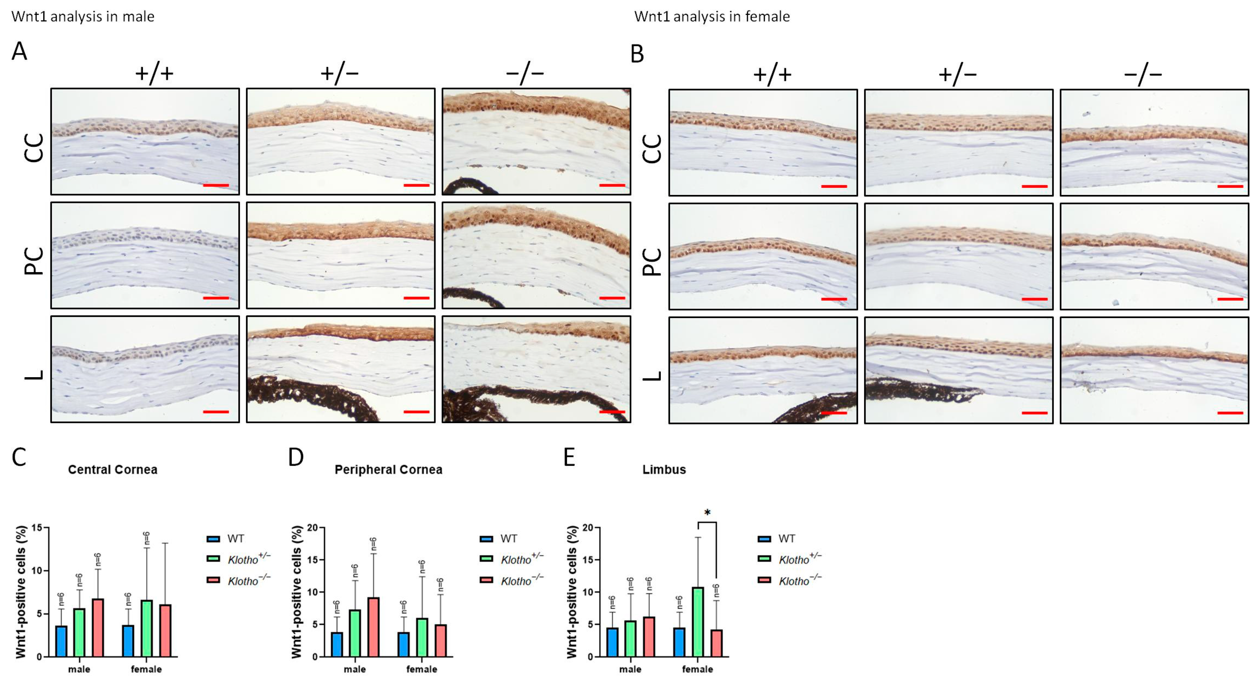 Biology 13 00133 g006