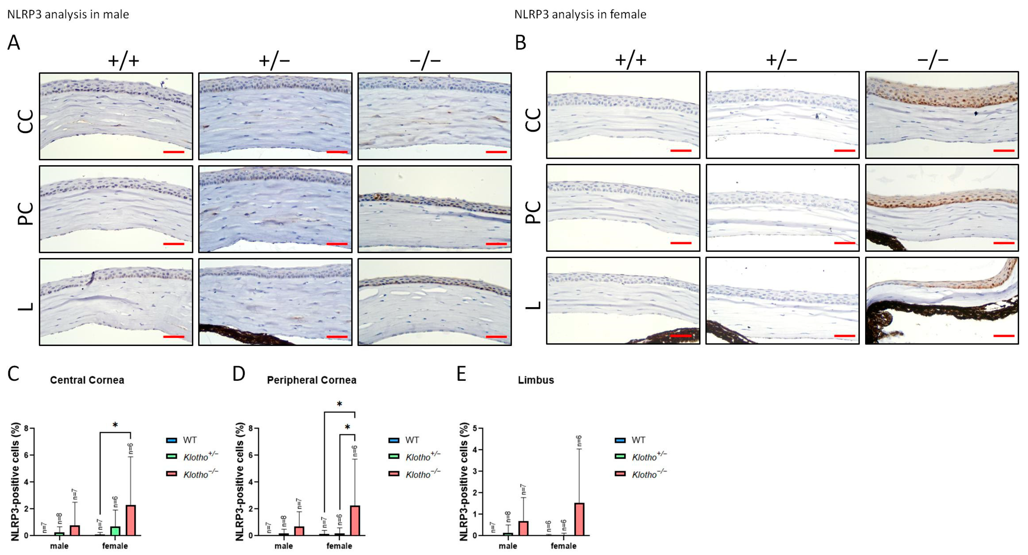 Biology 13 00133 g007