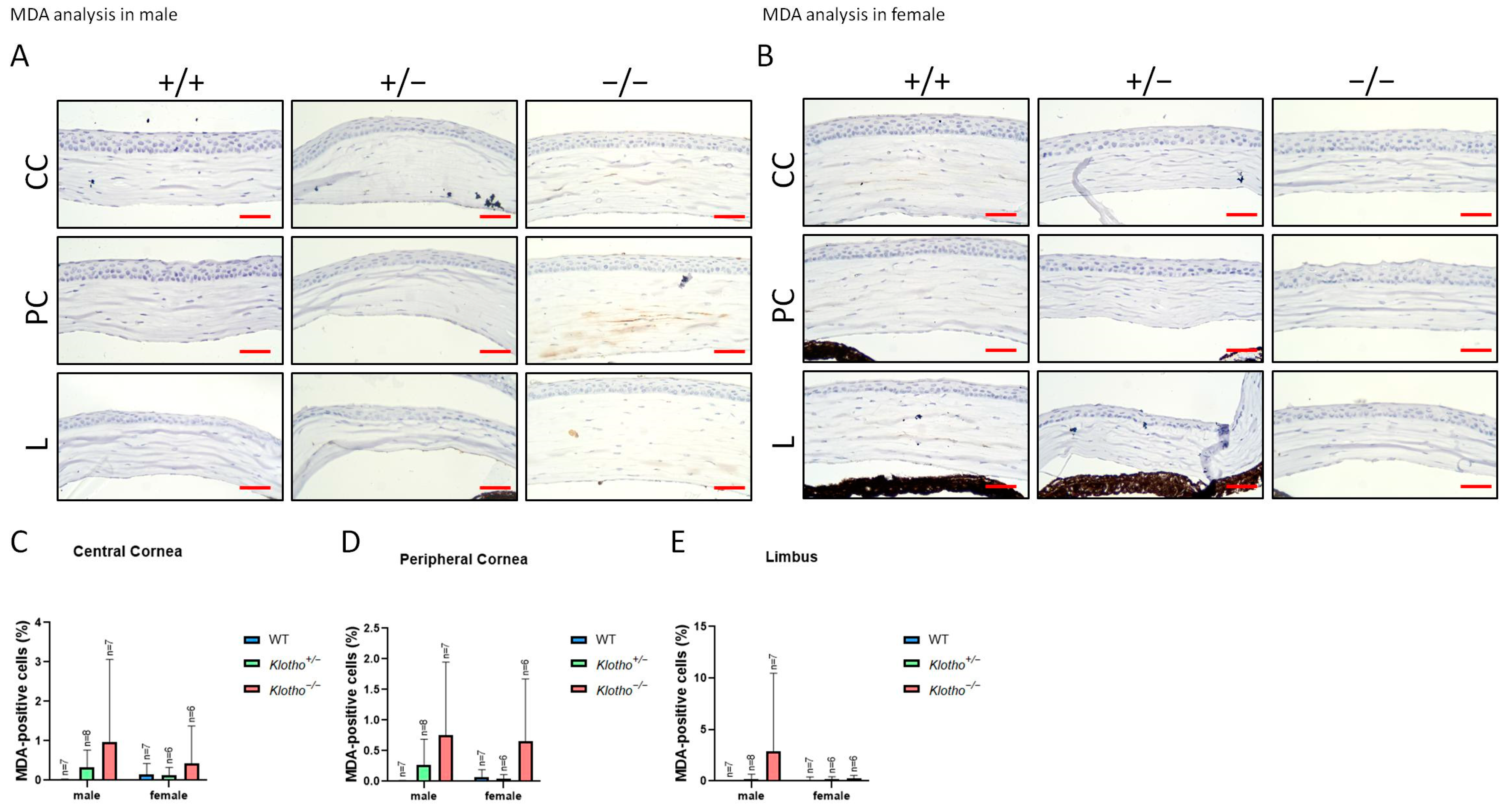 Biology 13 00133 g009