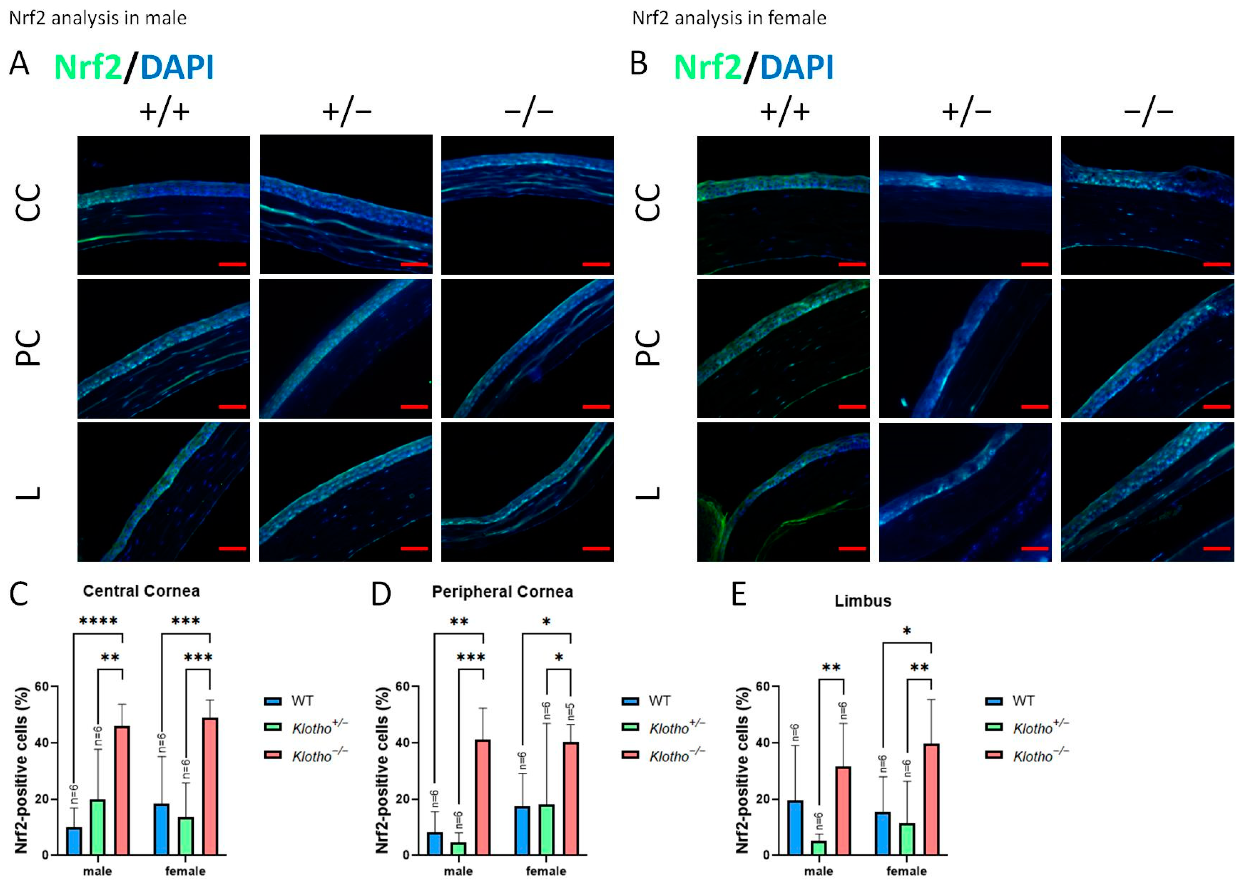Biology 13 00133 g010