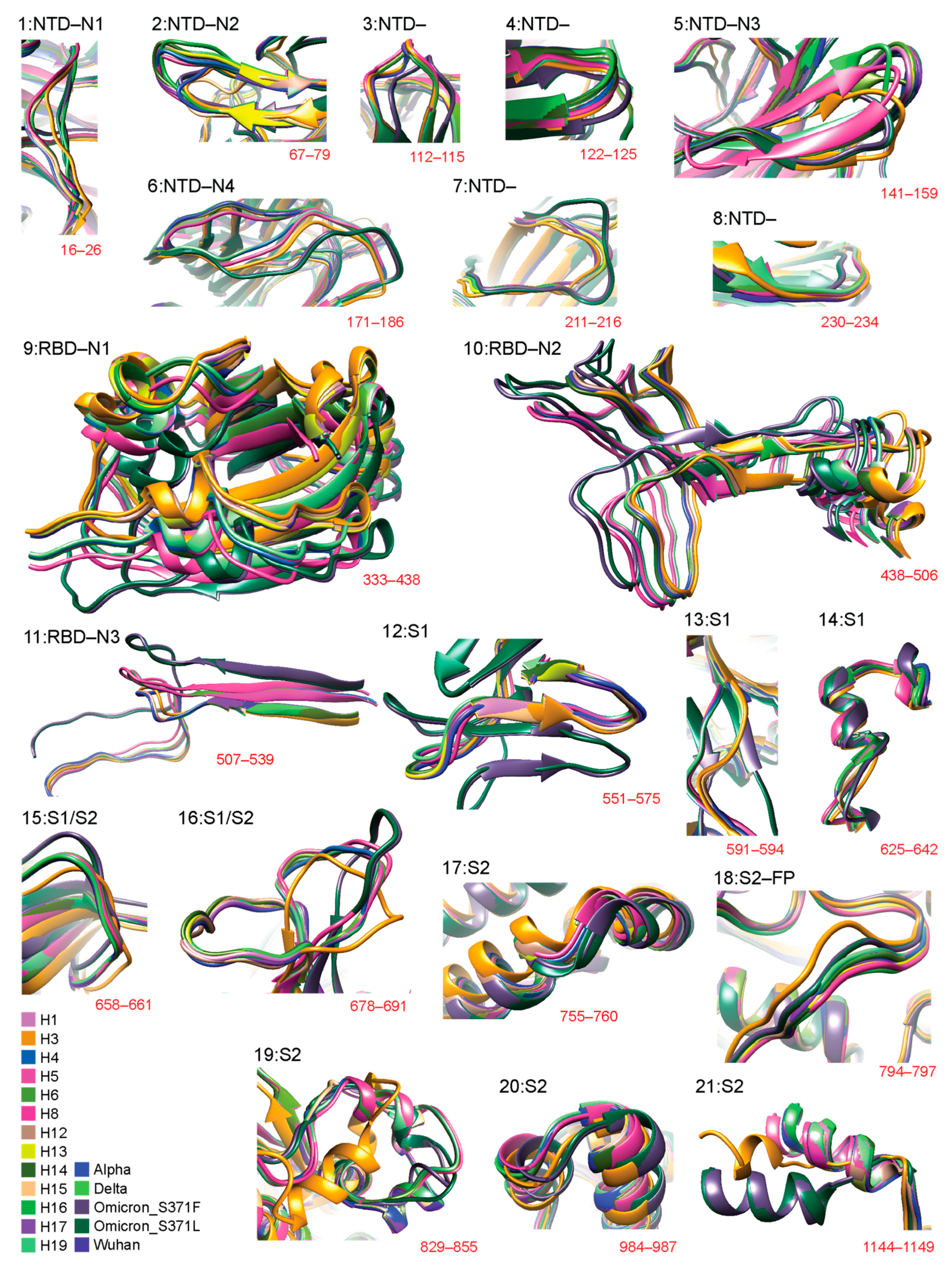 Biology 13 00134 g002